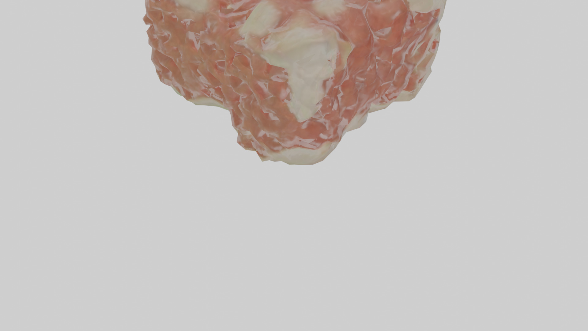 Cartilage Tissue Model fibrocartilage Low-poly 3D model_7