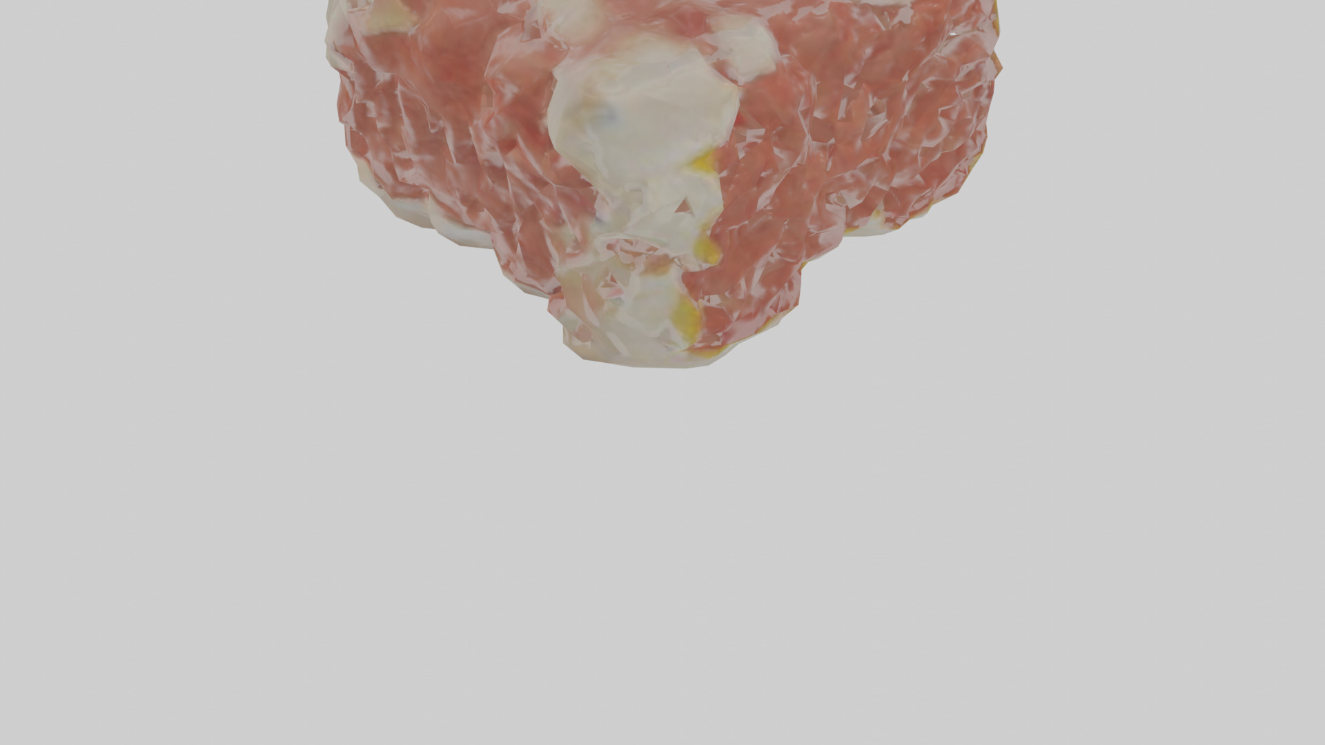 Cartilage Tissue Model fibrocartilage Low-poly 3D model_9