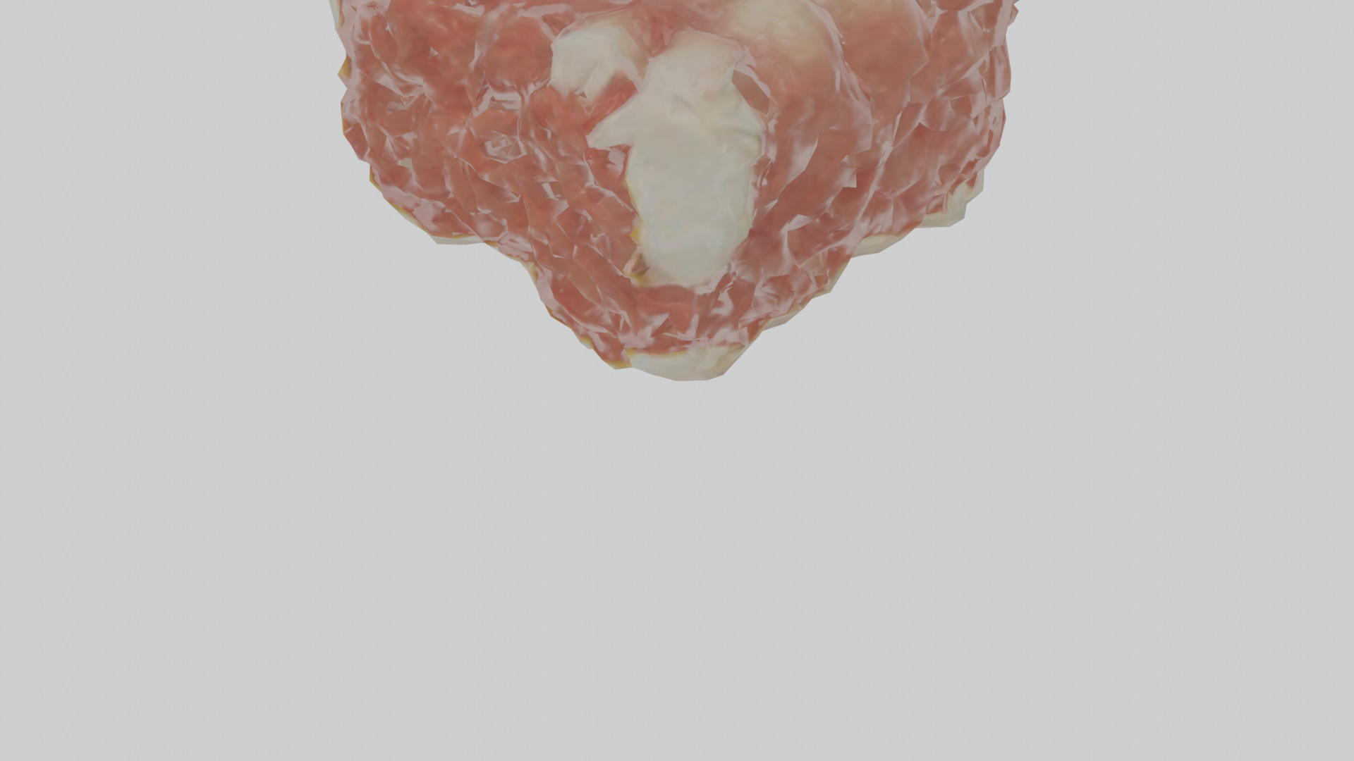 Cartilage Tissue Model fibrocartilage Low-poly 3D model_8