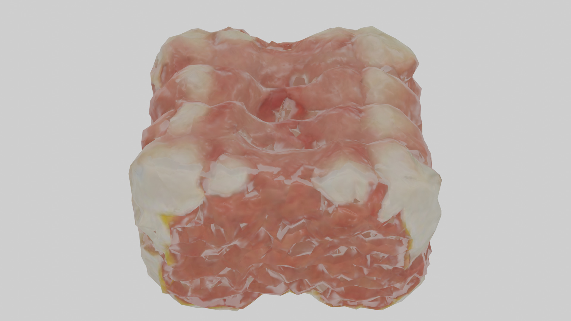 Cartilage Tissue Model fibrocartilage Low-poly 3D model_25