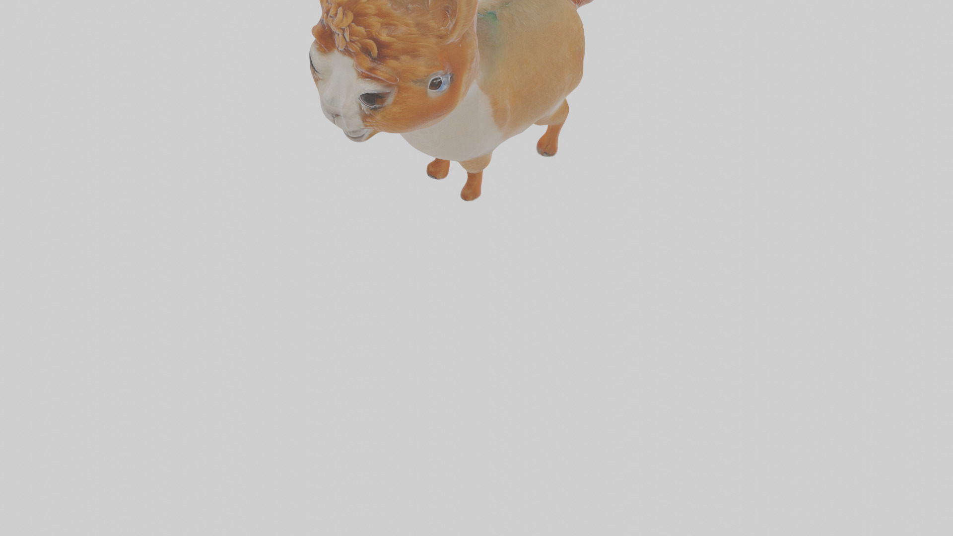 Cartoon Alpaca Low-poly 3D model_7