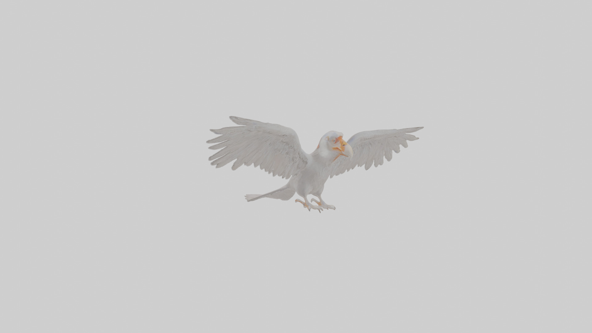 Cartoon Andean Condor Low-poly 3D model_1