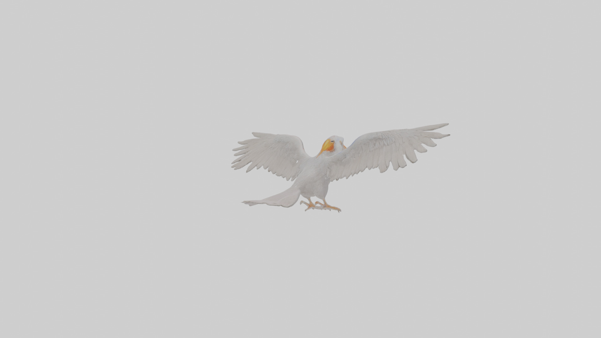 Cartoon Andean Condor Low-poly 3D model_17