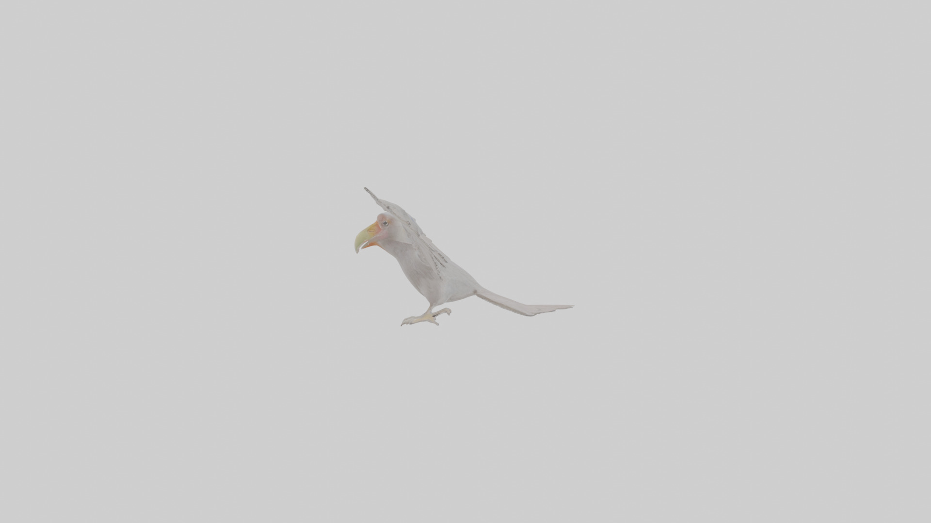 Cartoon Andean Condor Low-poly 3D model_21