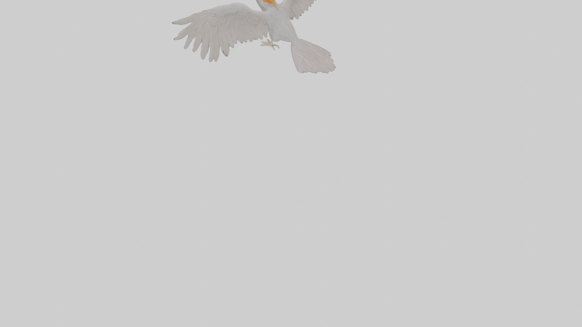 Cartoon Andean Condor Low-poly 3D model_9