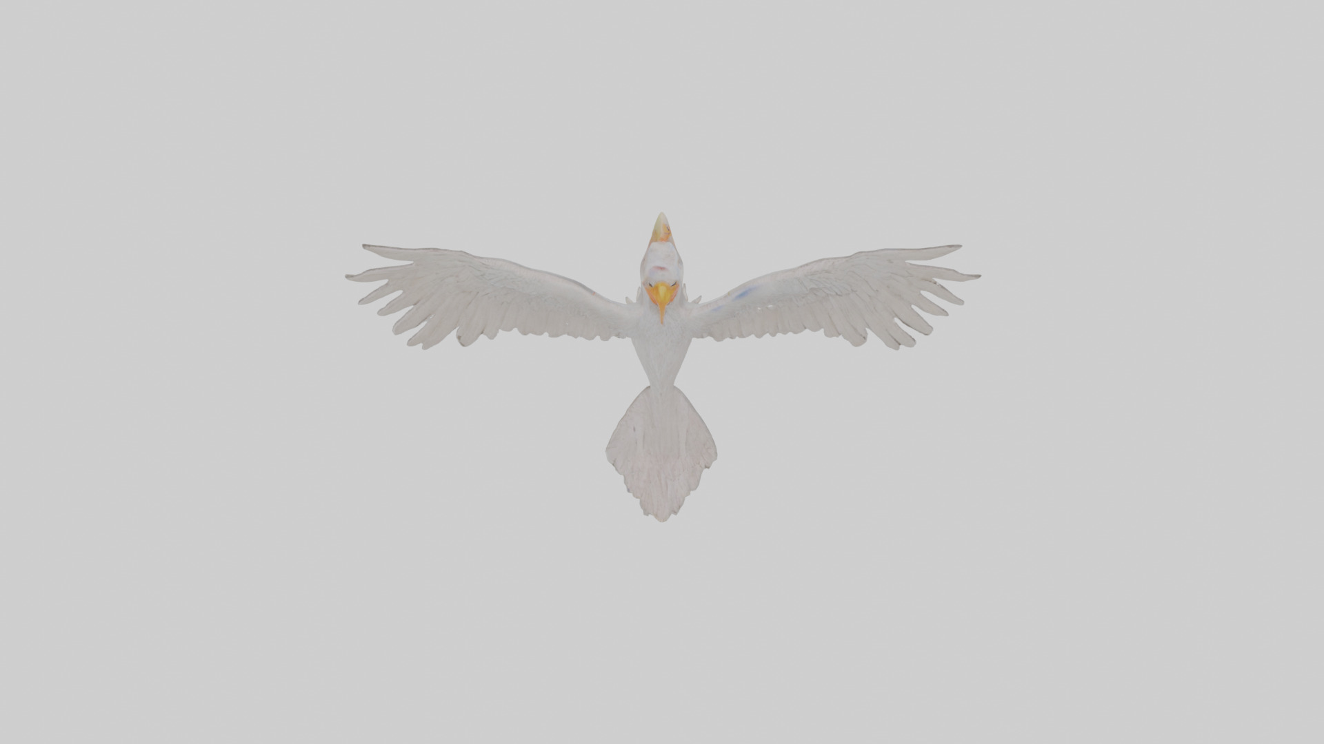 Cartoon Andean Condor Low-poly 3D model_22