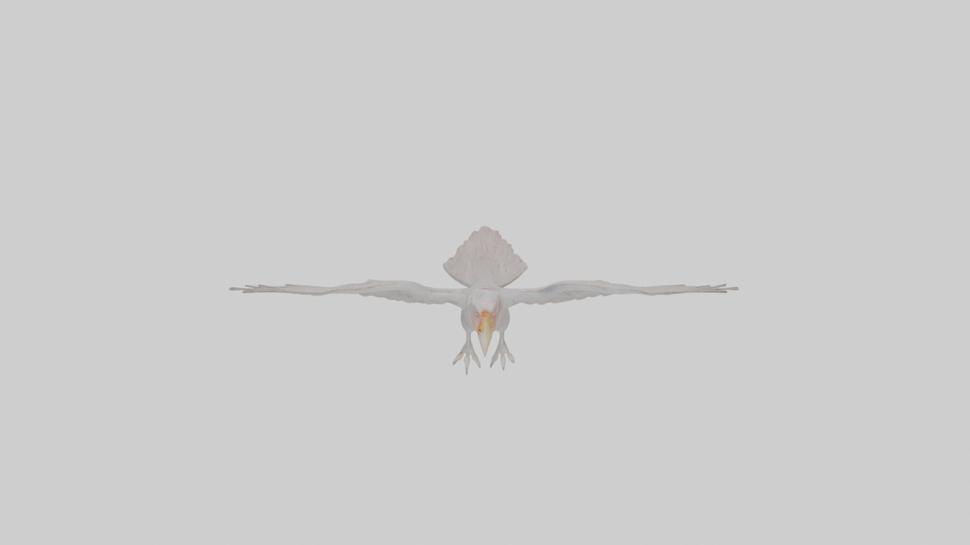 Cartoon Andean Condor Low-poly 3D model_24