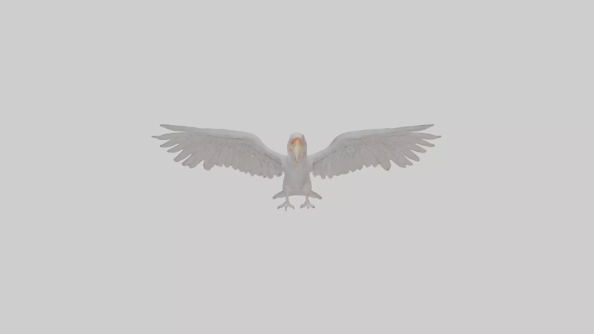 Cartoon Andean Condor Low-poly 3D model_0