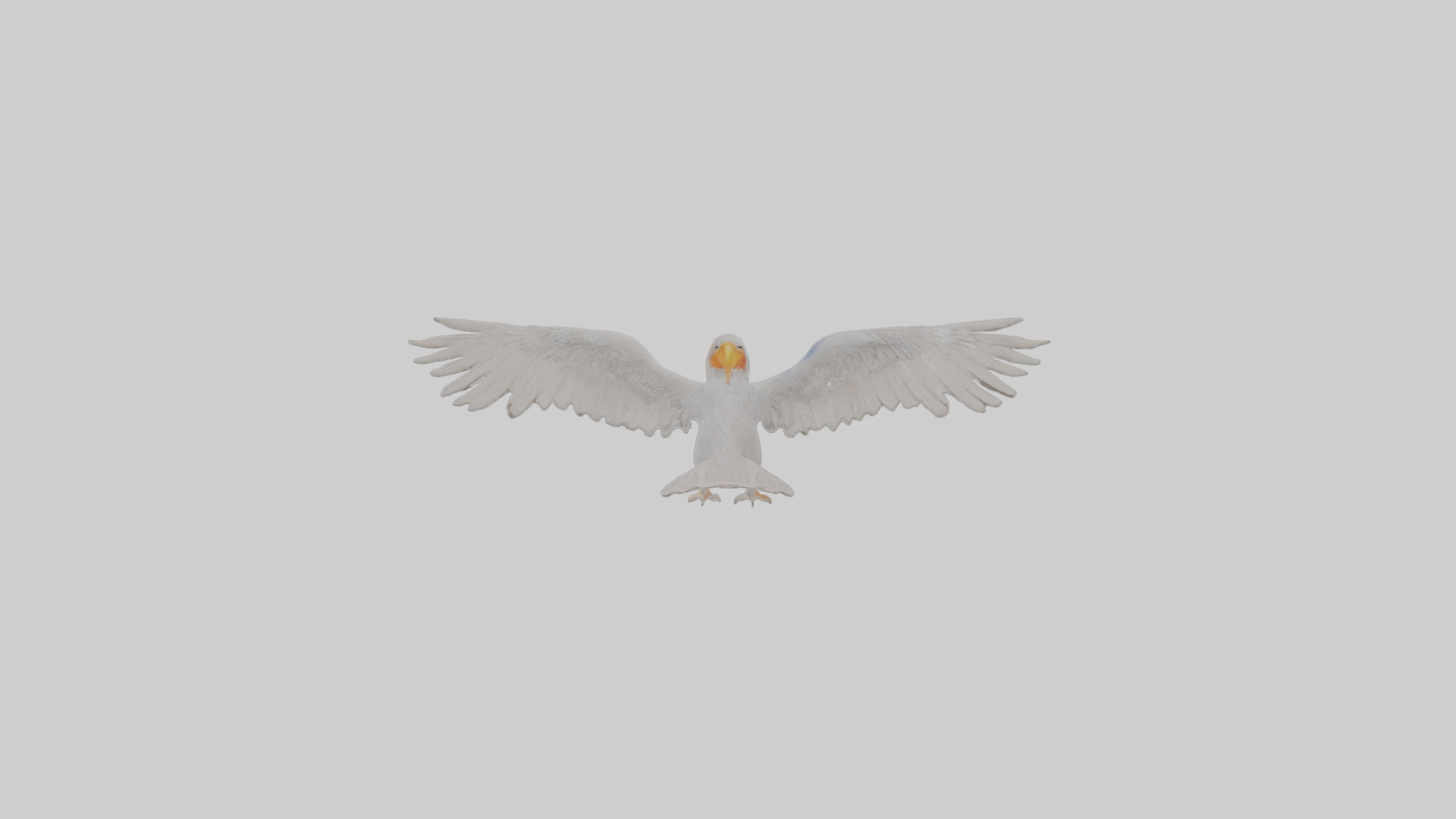 Cartoon Andean Condor Low-poly 3D model_15
