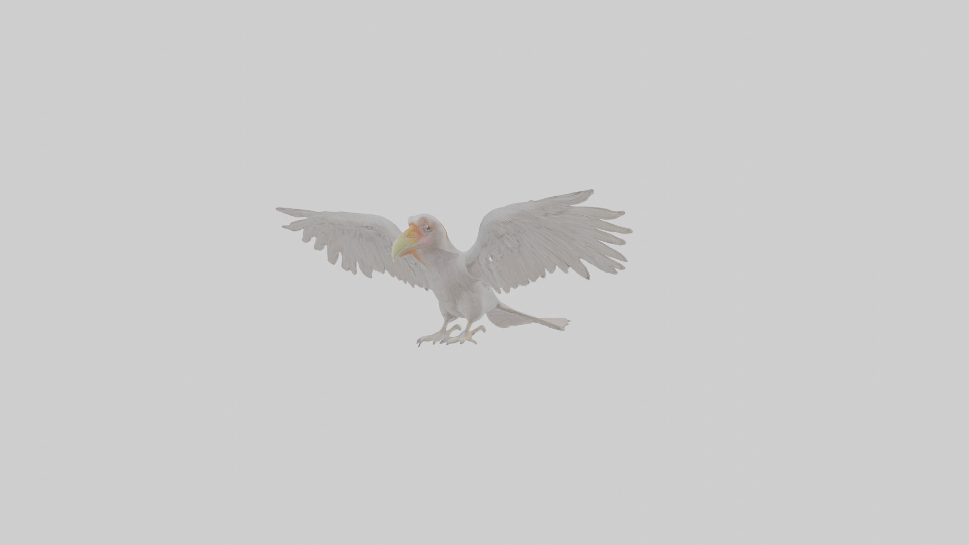 Cartoon Andean Condor Low-poly 3D model_2