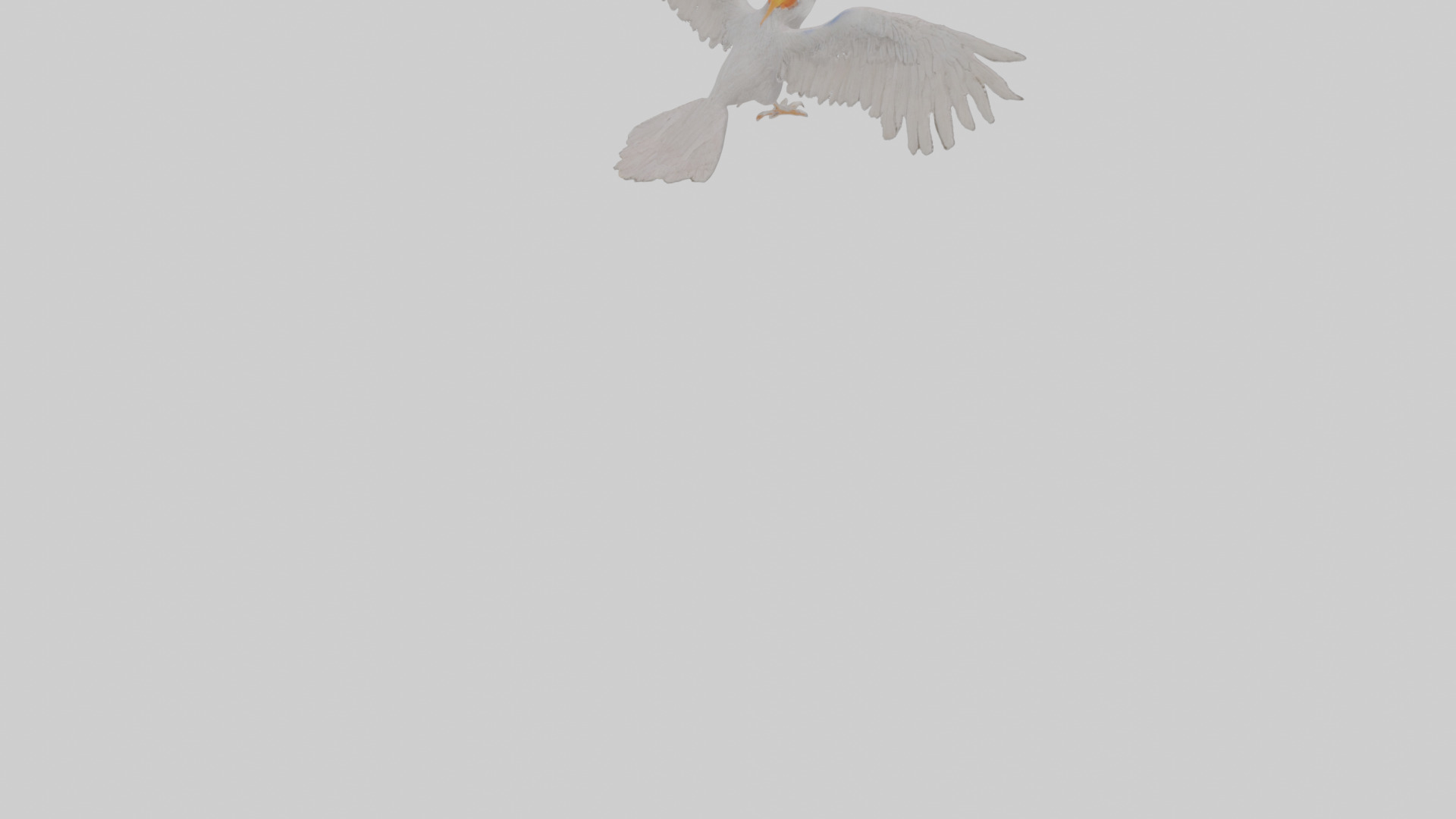 Cartoon Andean Condor Low-poly 3D model_6