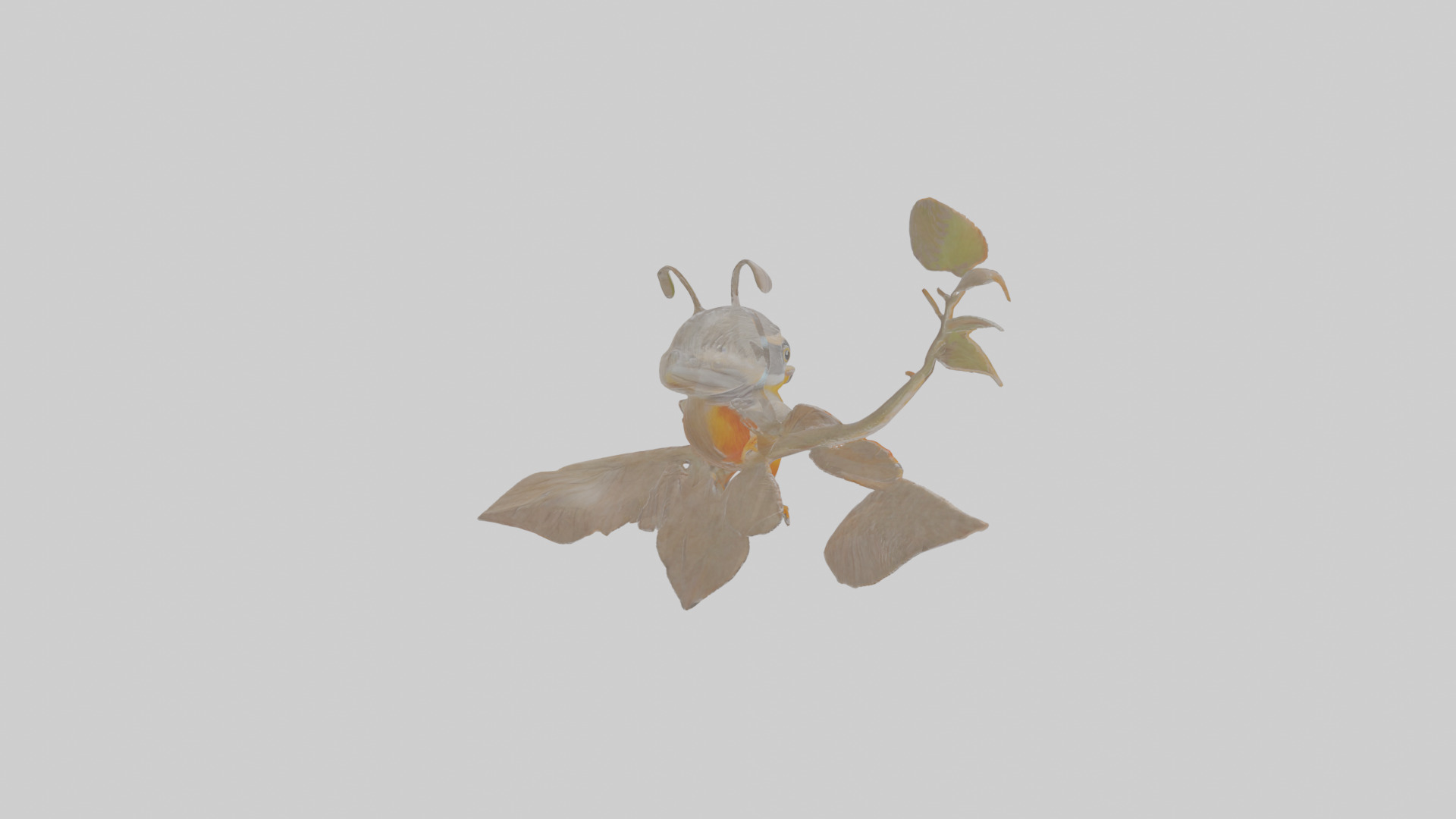 Cartoon Antpitta Low-poly 3D model_17