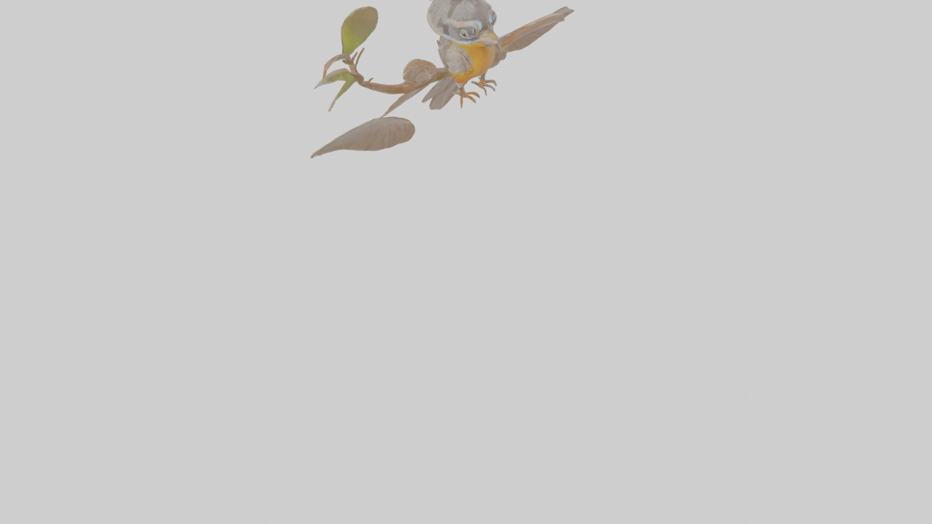 Cartoon Antpitta Low-poly 3D model_8
