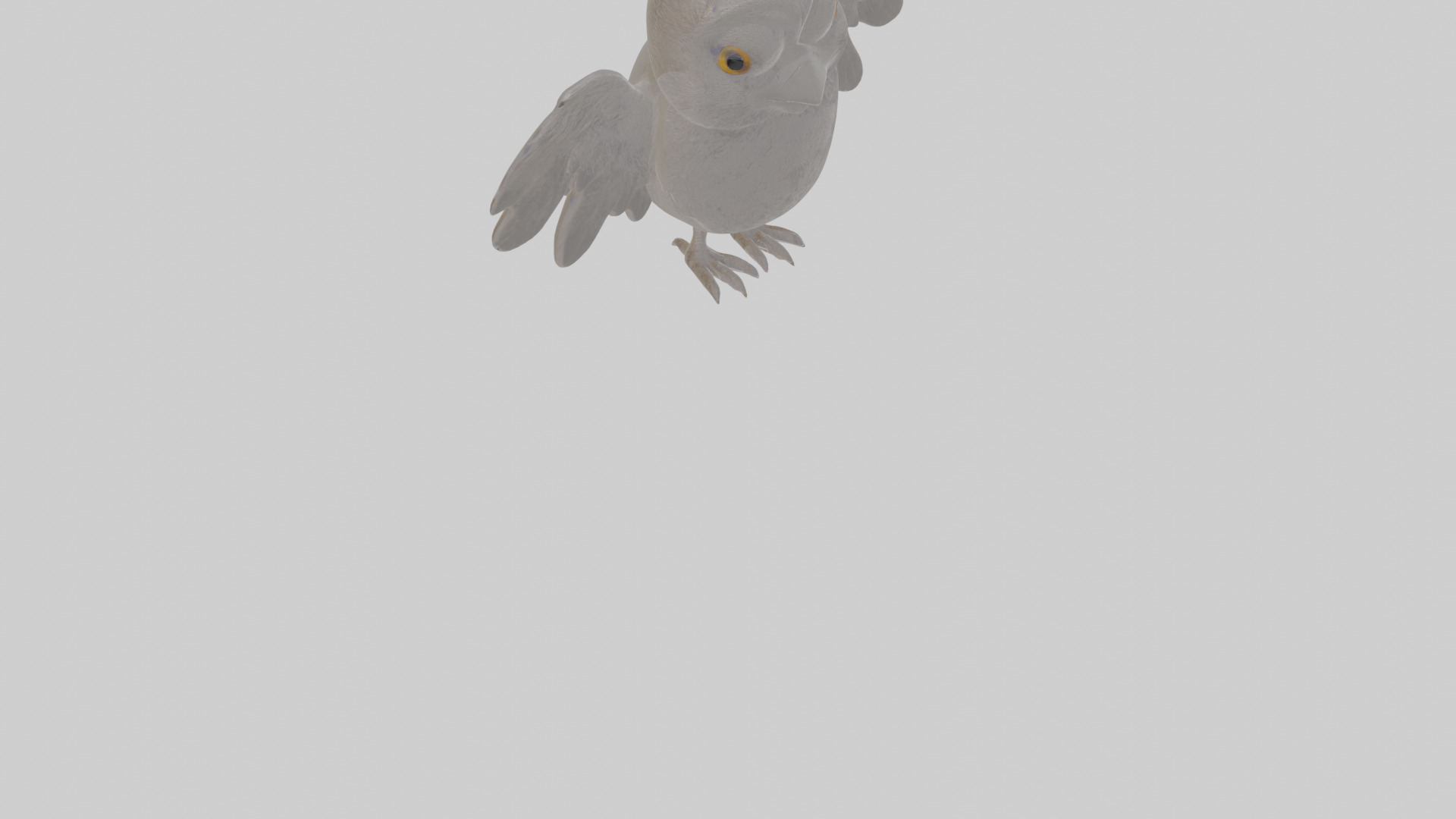 Cartoon Apostlebird Low-poly 3D model_10