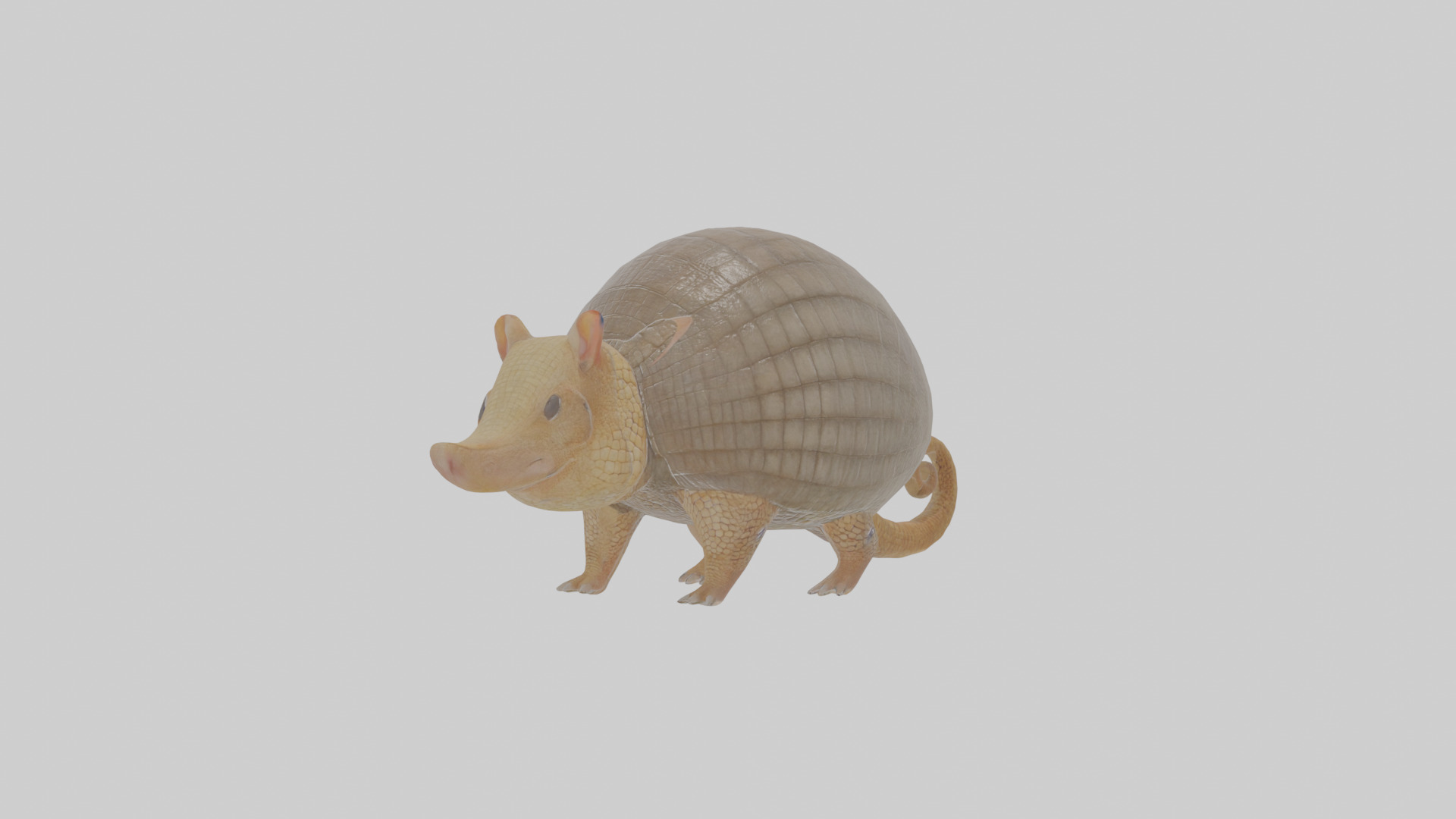 Cartoon Armadillo Low-poly 3D model_14
