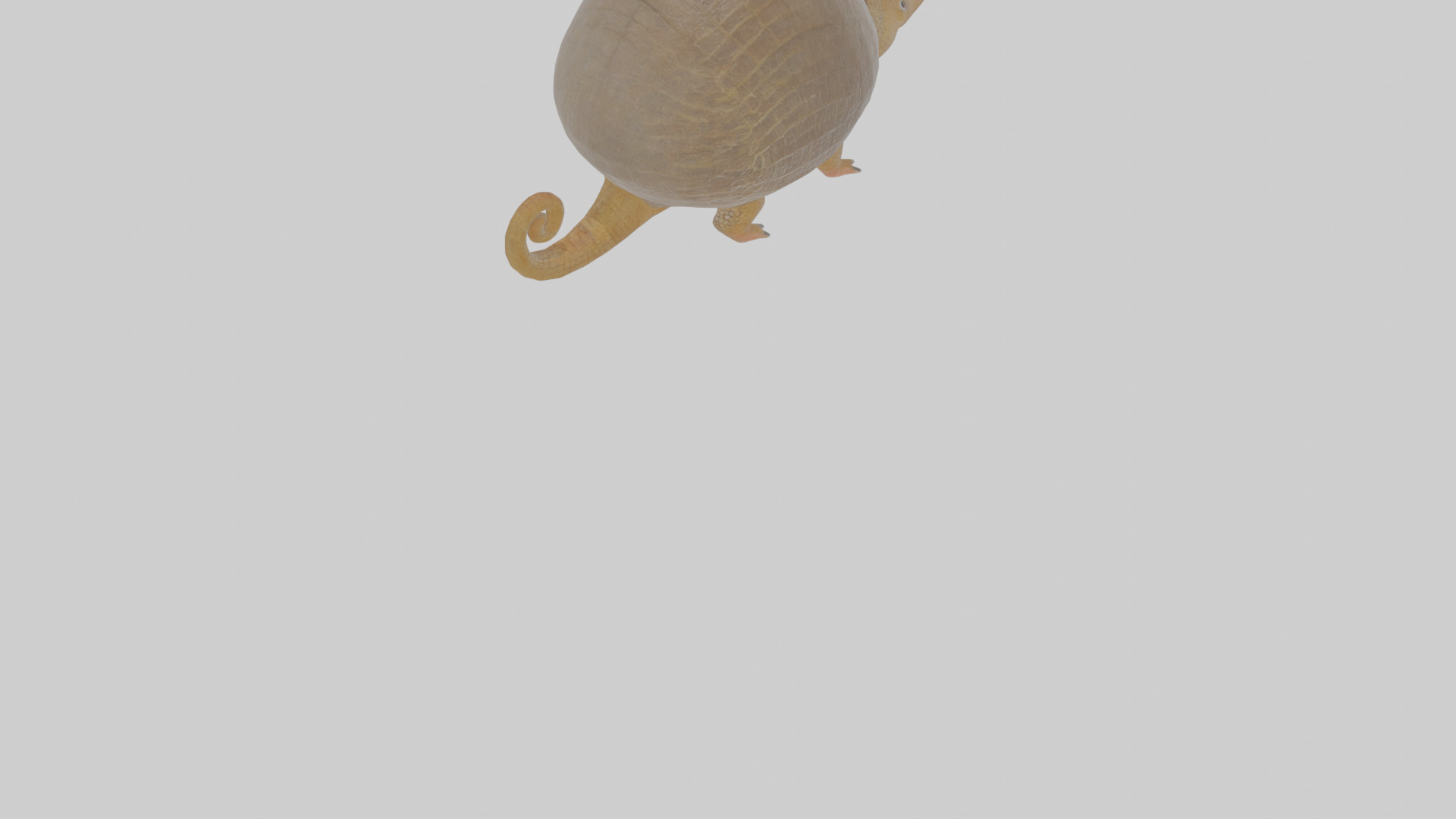 Cartoon Armadillo Low-poly 3D model_7