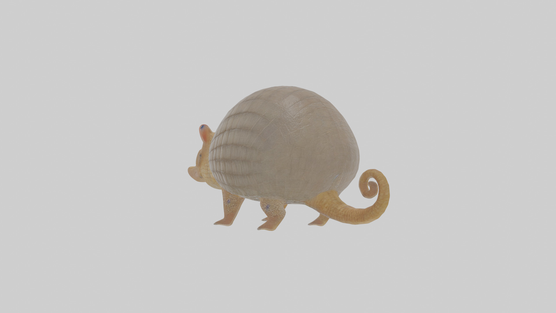 Cartoon Armadillo Low-poly 3D model_1