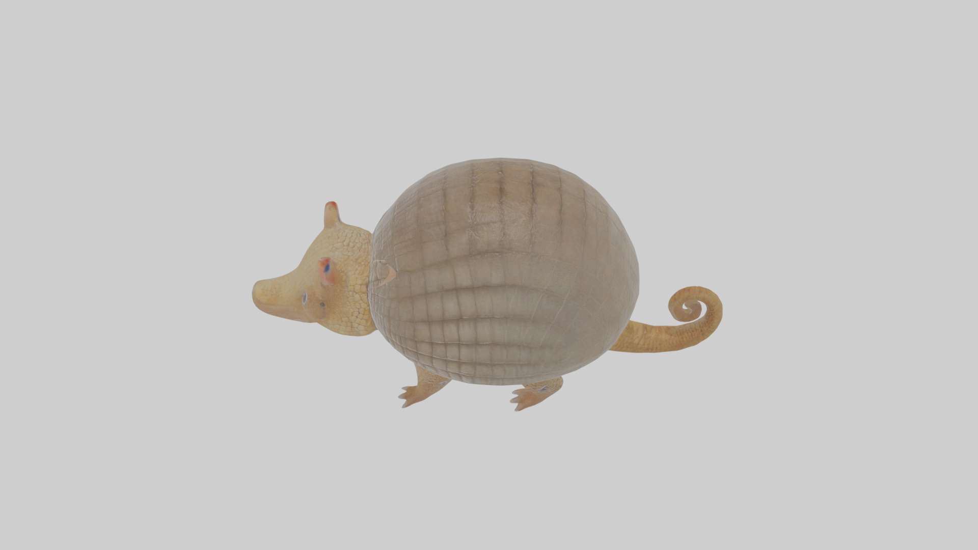 Cartoon Armadillo Low-poly 3D model_26