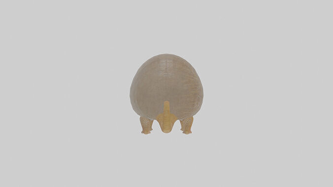 Cartoon Armadillo Low-poly 3D model