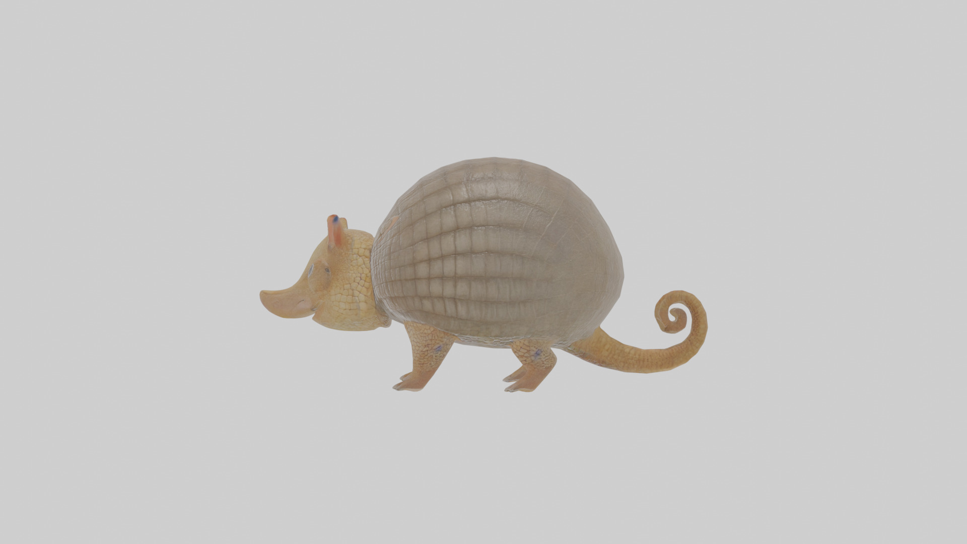 Cartoon Armadillo Low-poly 3D model_19
