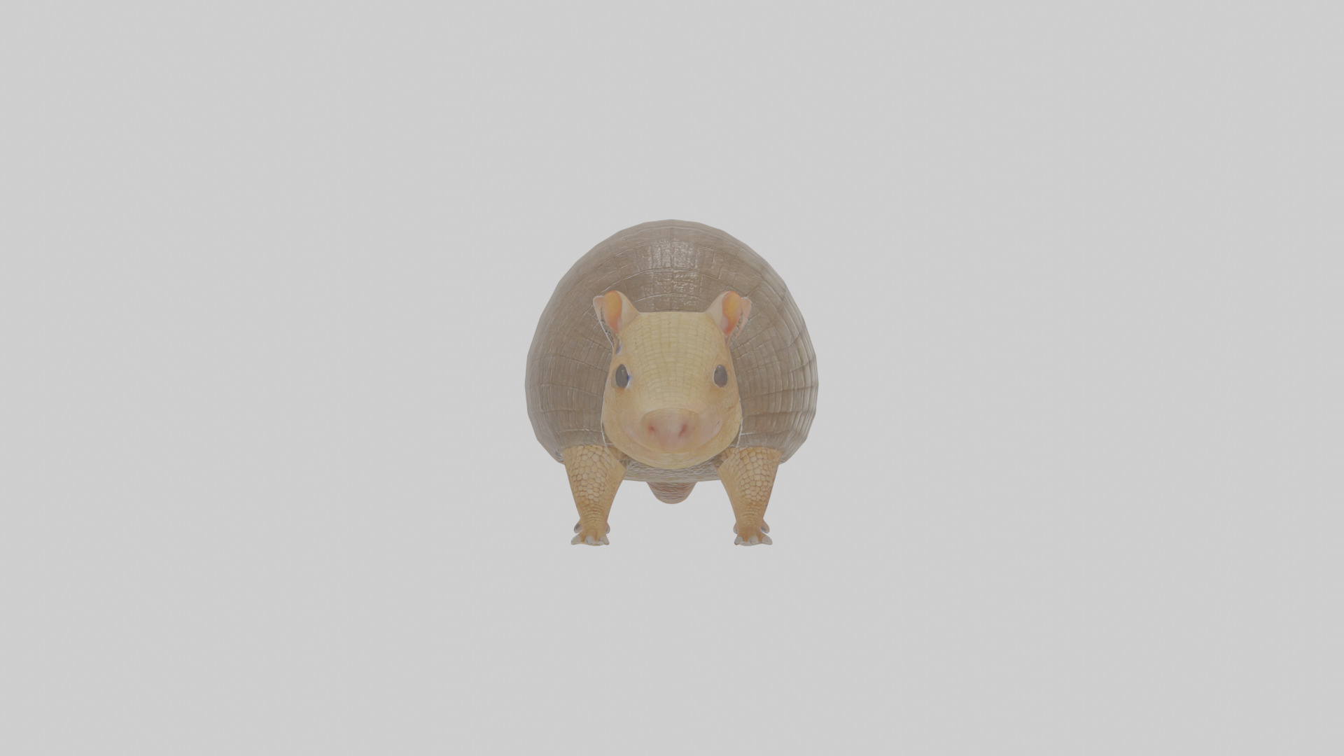 Cartoon Armadillo Low-poly 3D model_15