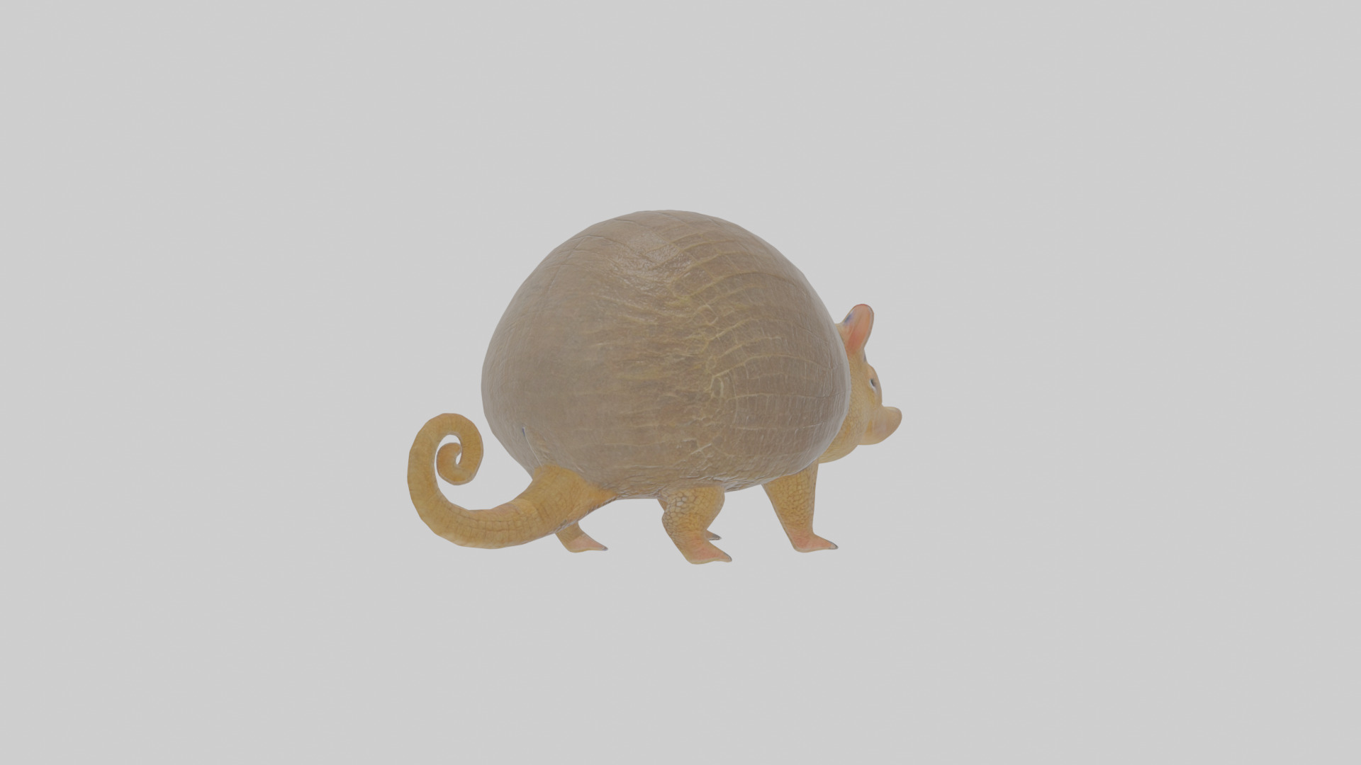 Cartoon Armadillo Low-poly 3D model_3