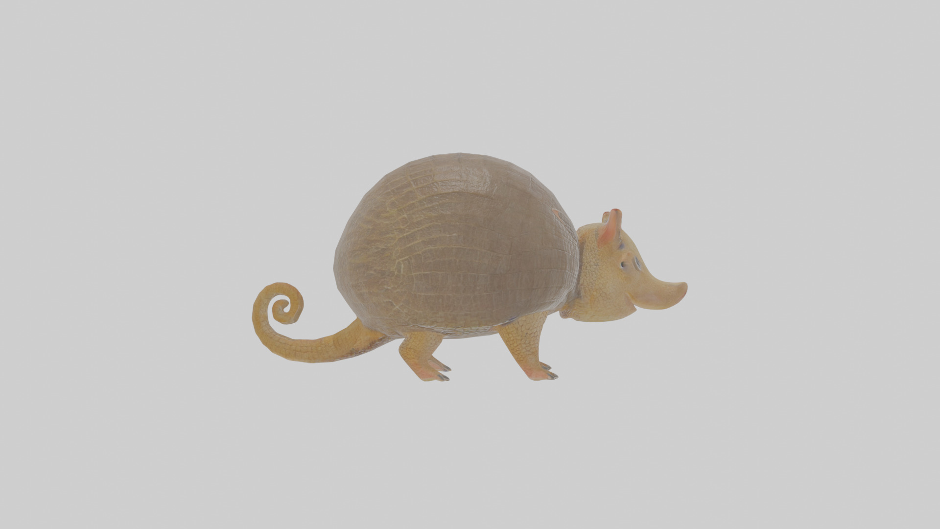Cartoon Armadillo Low-poly 3D model_21