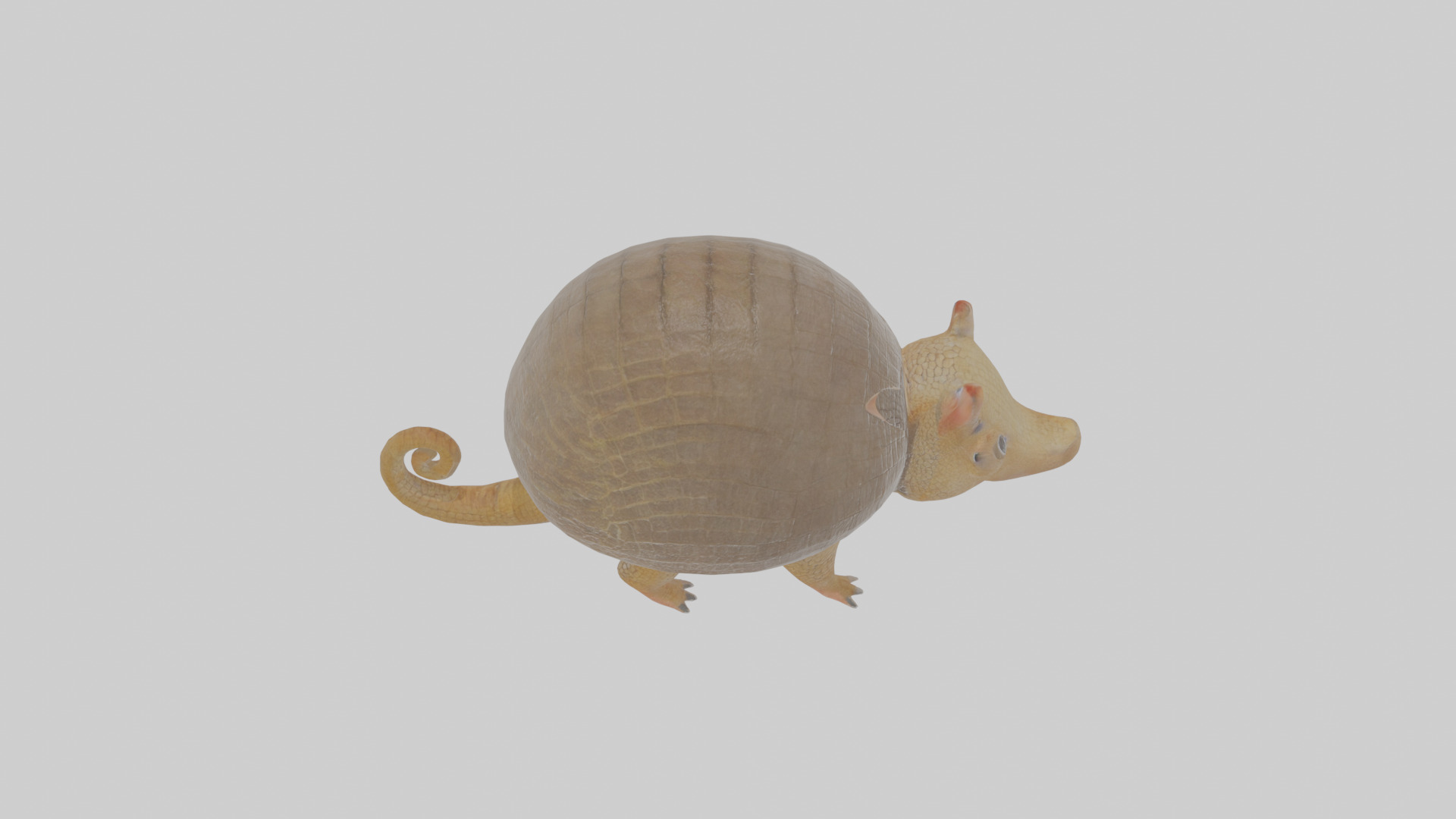 Cartoon Armadillo Low-poly 3D model_27