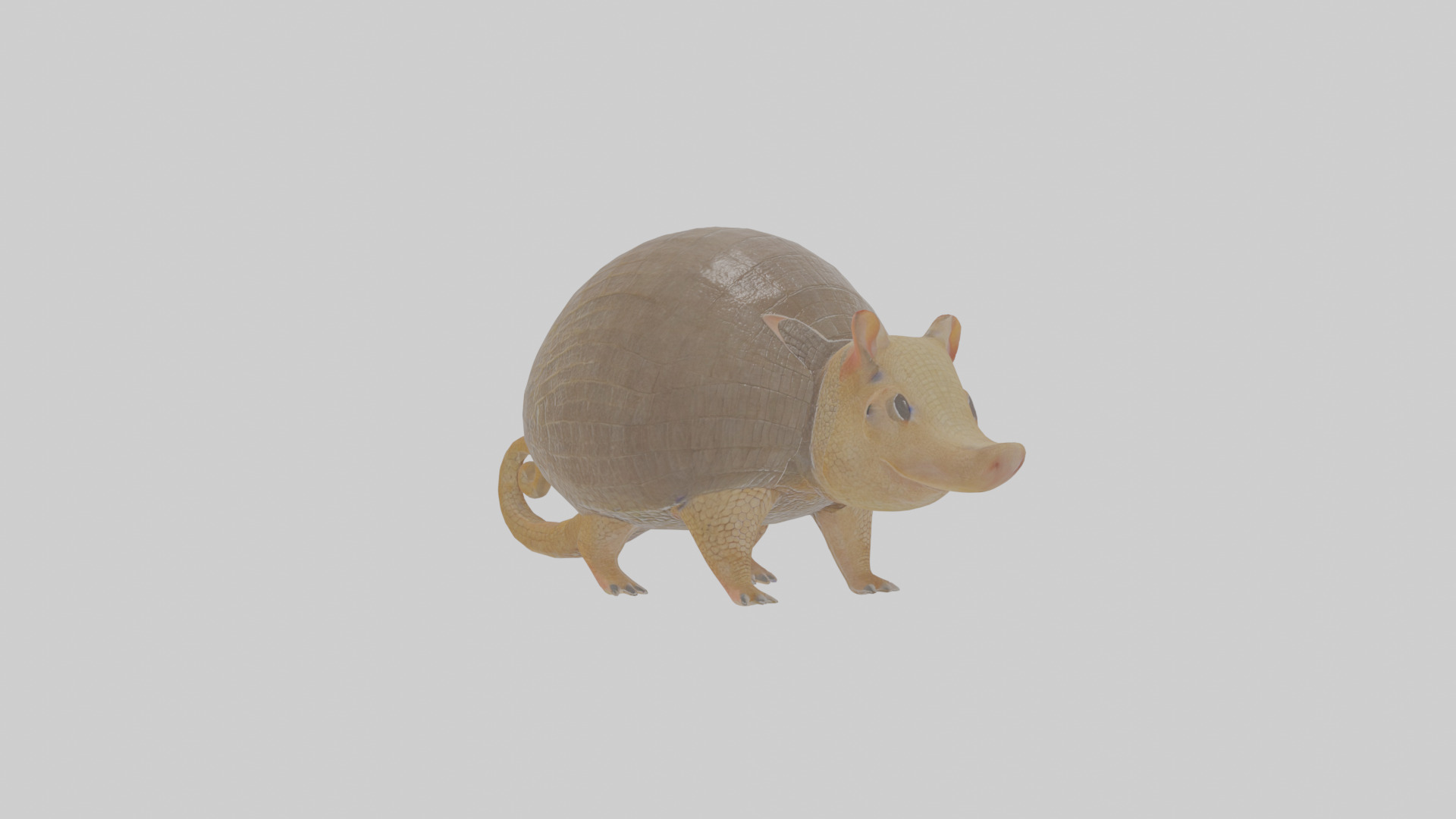 Cartoon Armadillo Low-poly 3D model_17