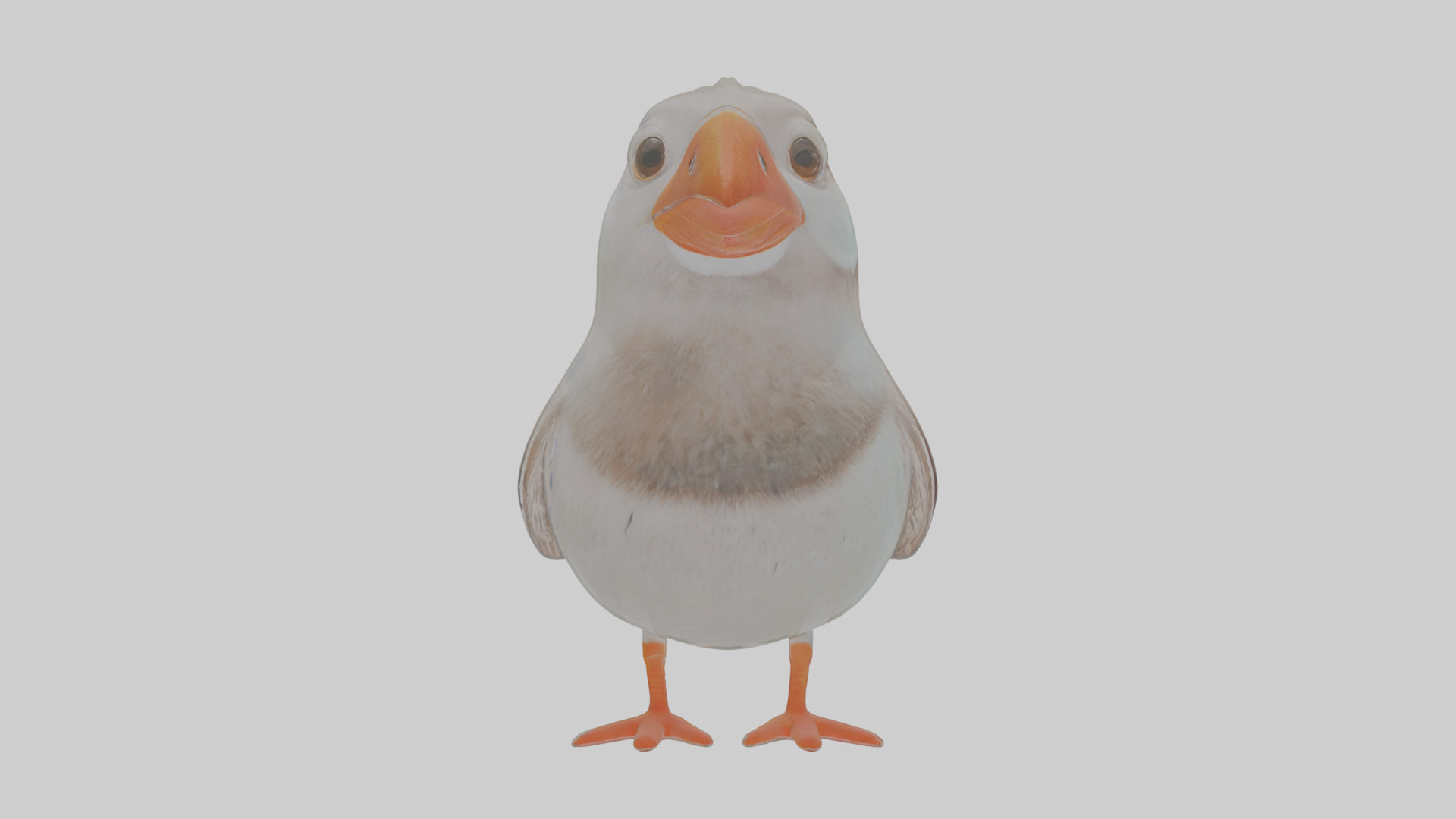 Cartoon Auk Low-poly 3D model_14
