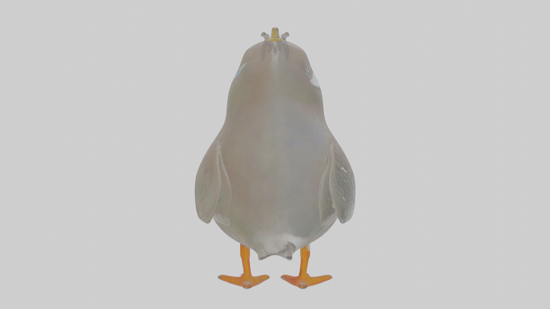 Cartoon Auk Low-poly 3D model_1