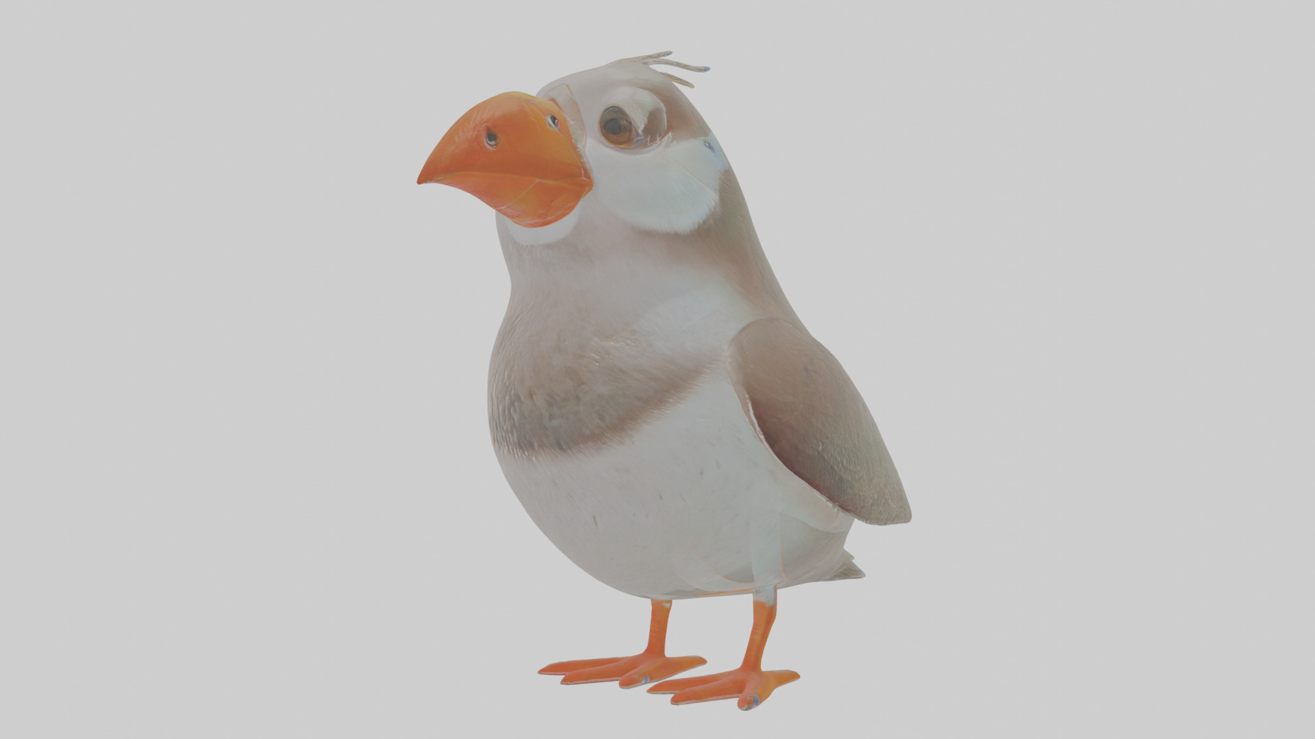 Cartoon Auk Low-poly 3D model_12