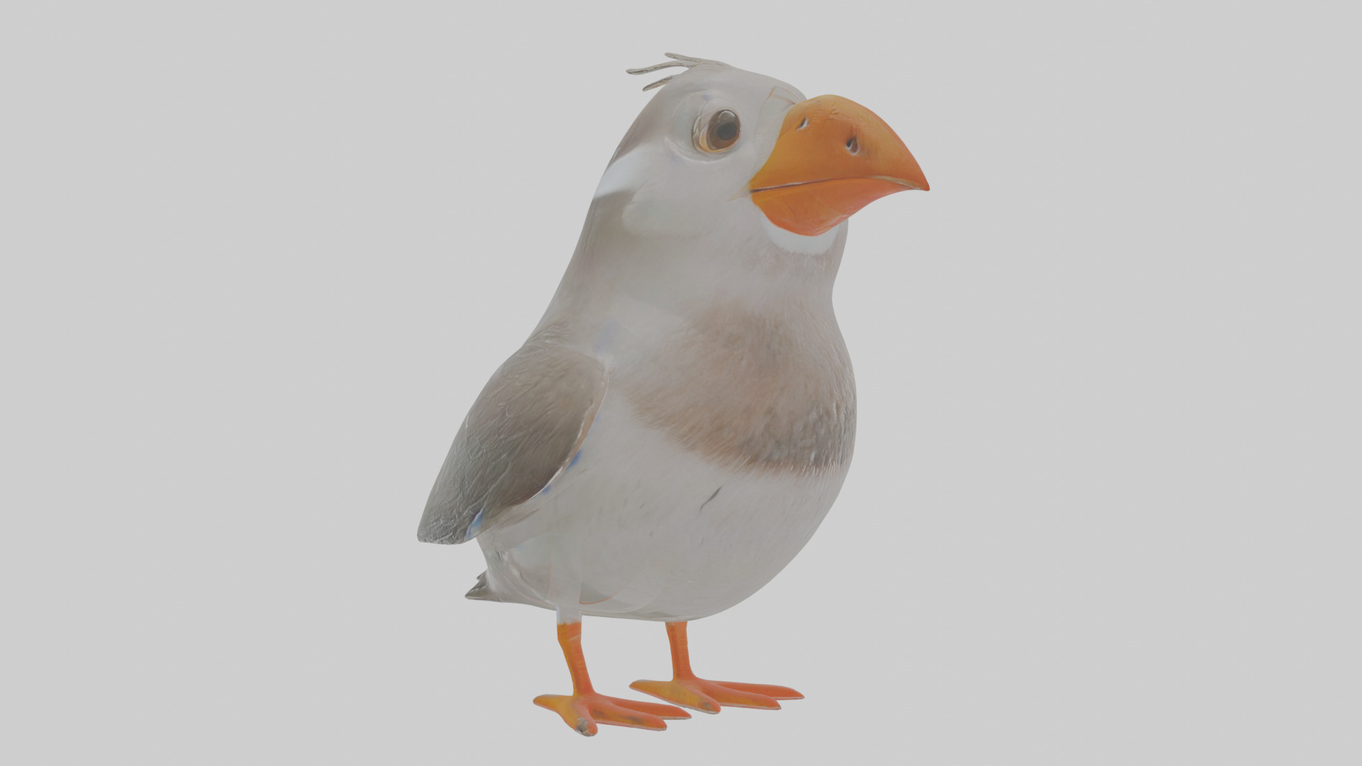 Cartoon Auk Low-poly 3D model_11
