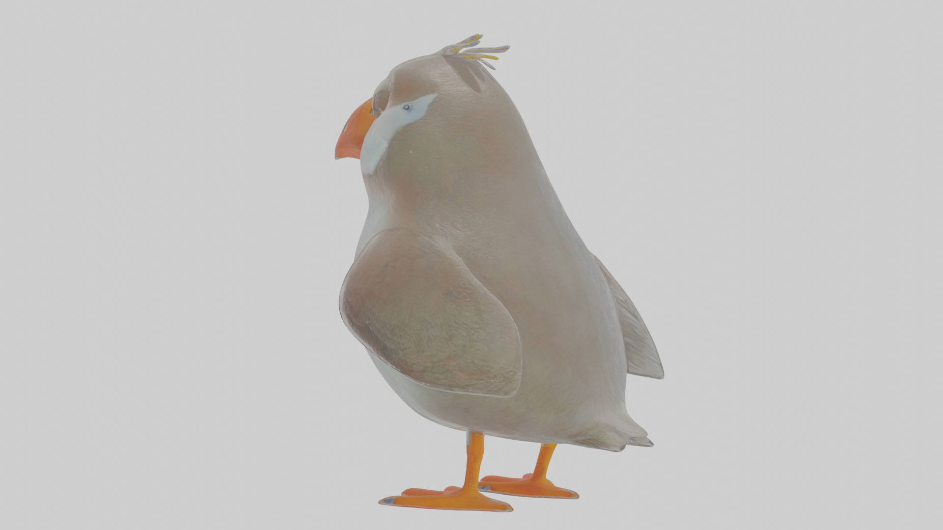 Cartoon Auk Low-poly 3D model_2