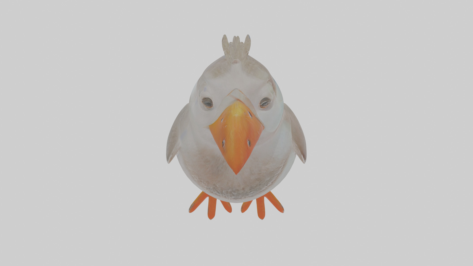 Cartoon Auk Low-poly 3D model_25