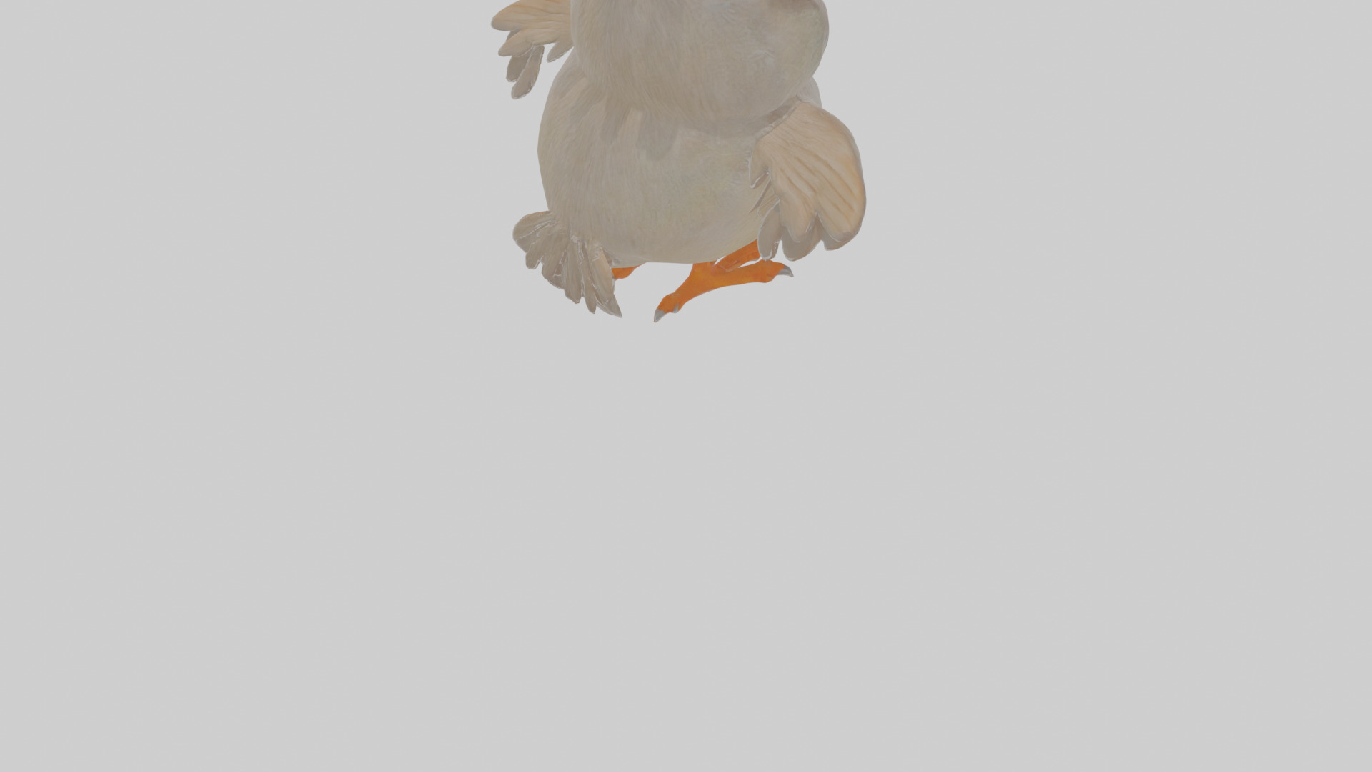 Cartoon Babbler Low-poly 3D model_6