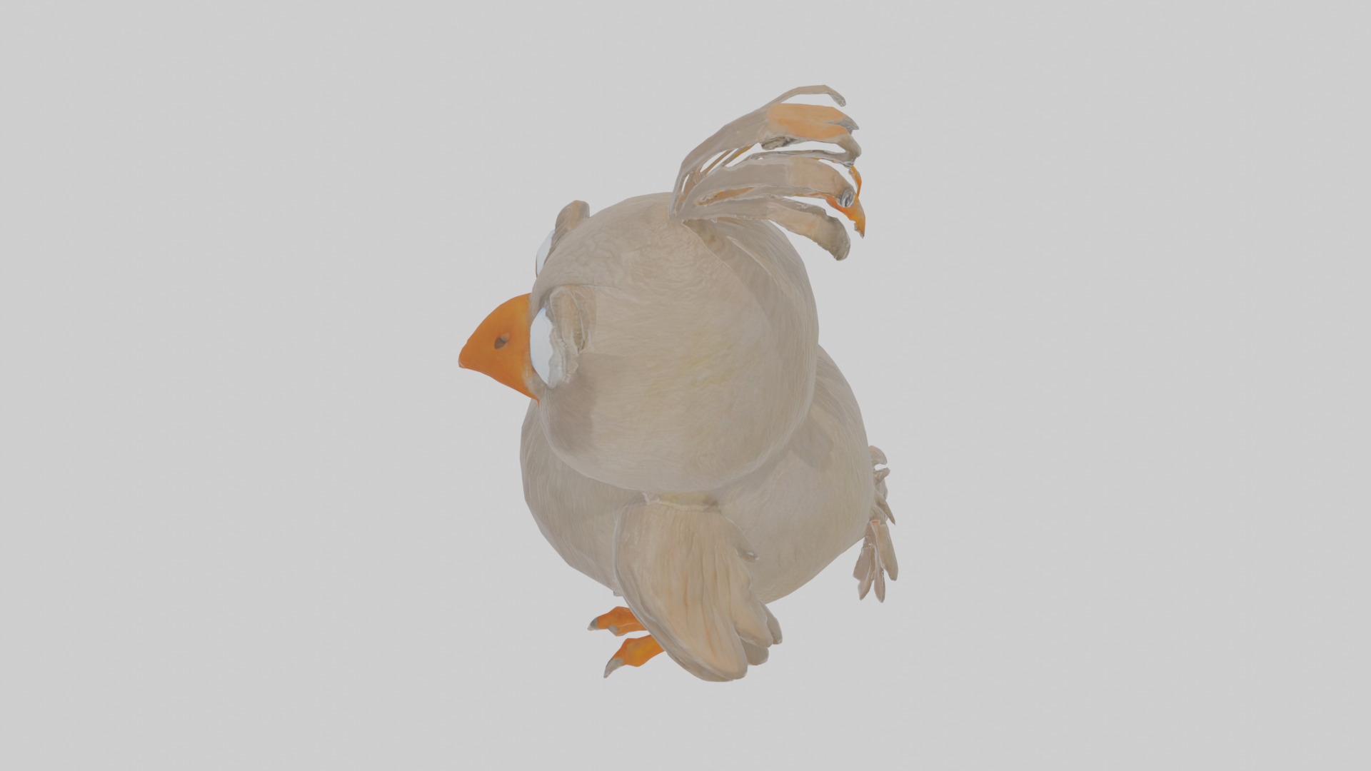 Cartoon Babbler Low-poly 3D model_25
