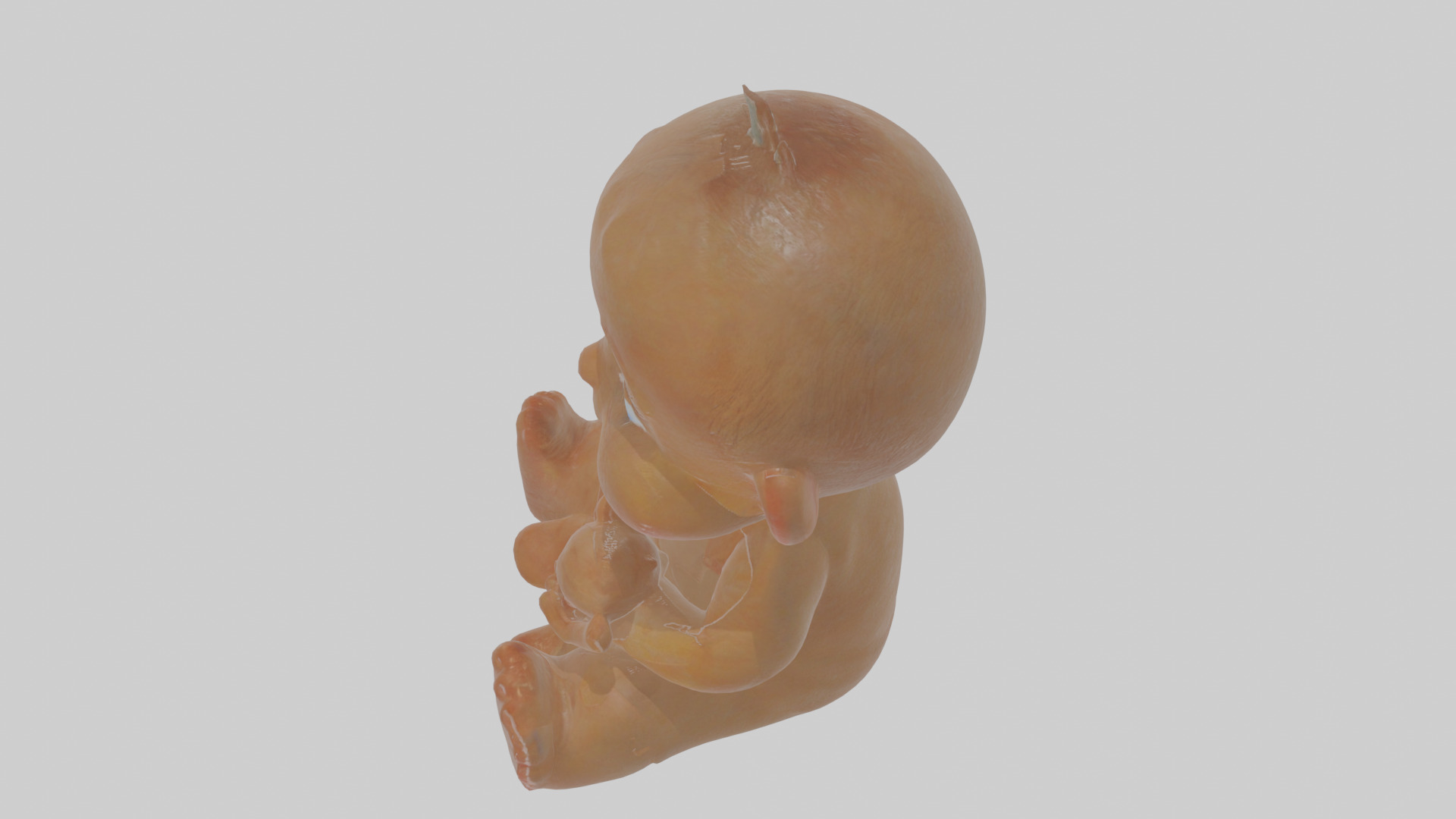 Cartoon Baby Low-poly 3D model_26