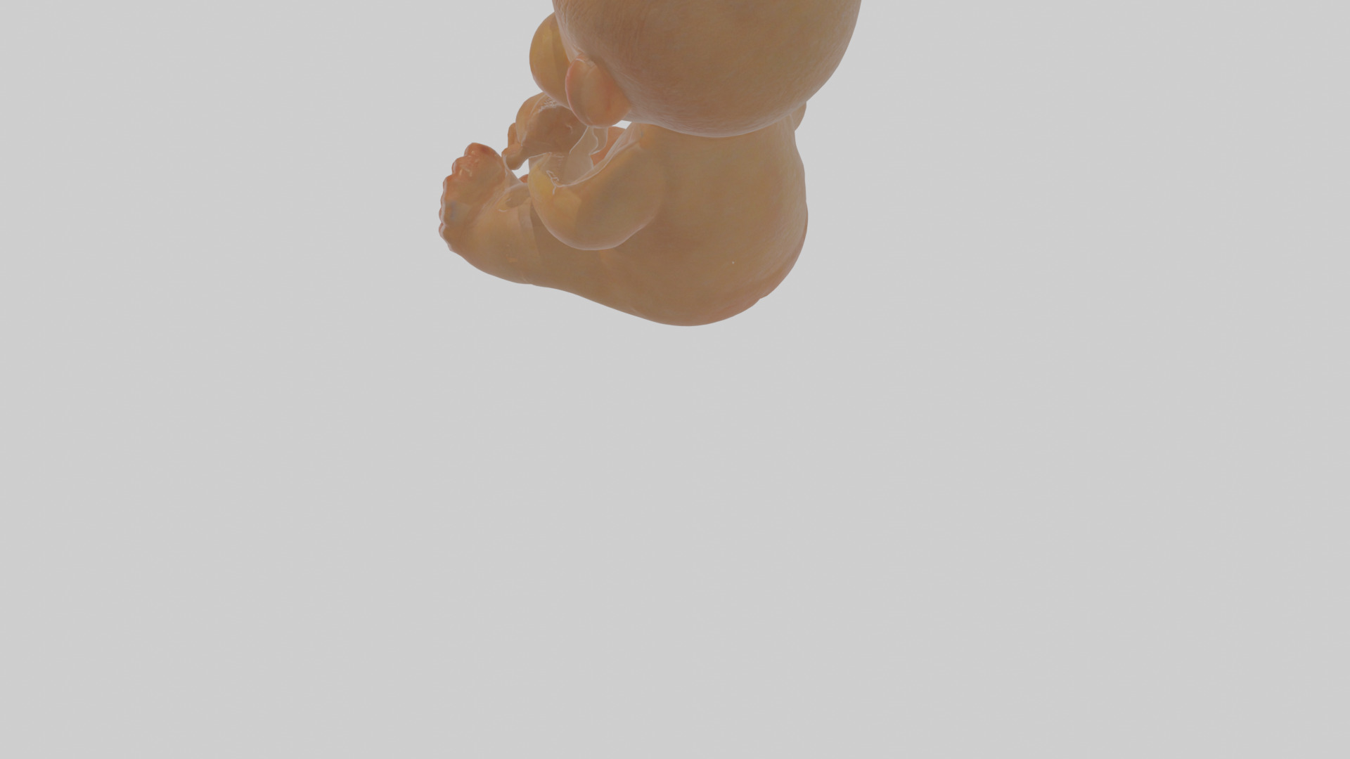 Cartoon Baby Low-poly 3D model_7