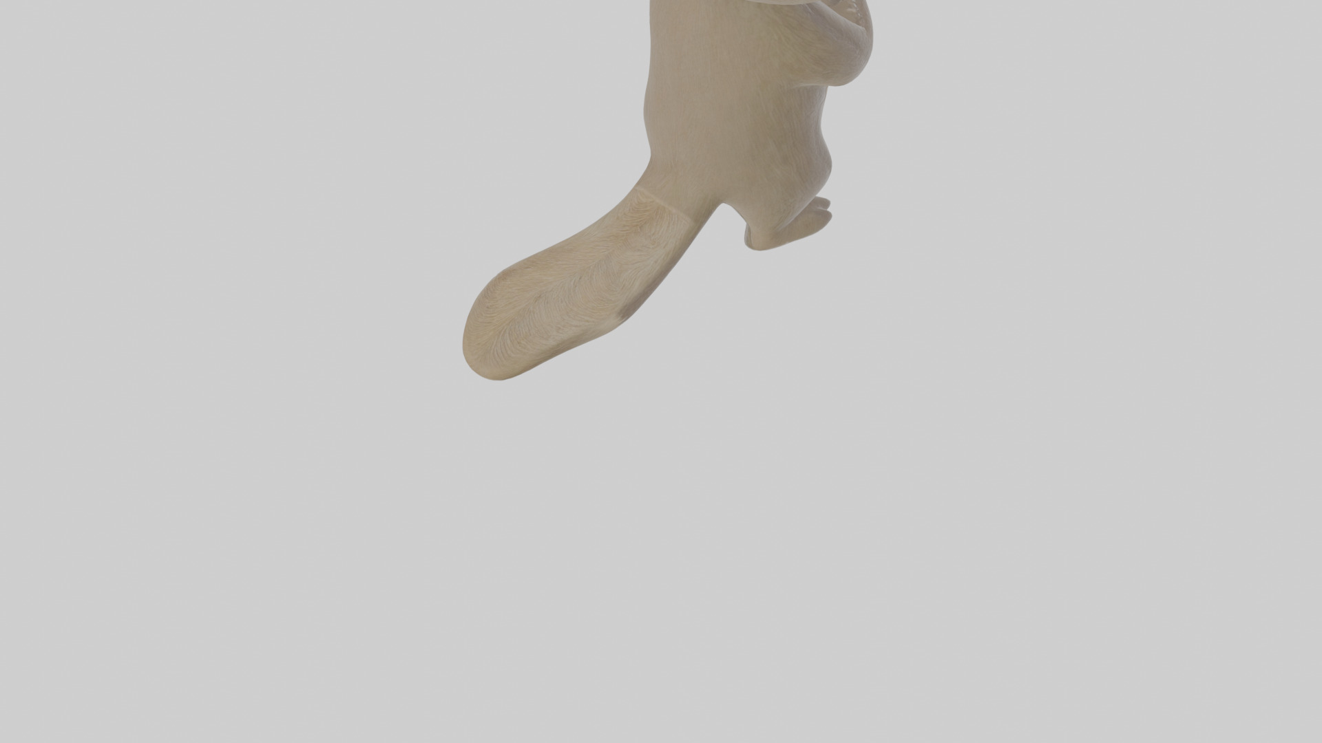 Cartoon Badger Low-poly 3D model_6