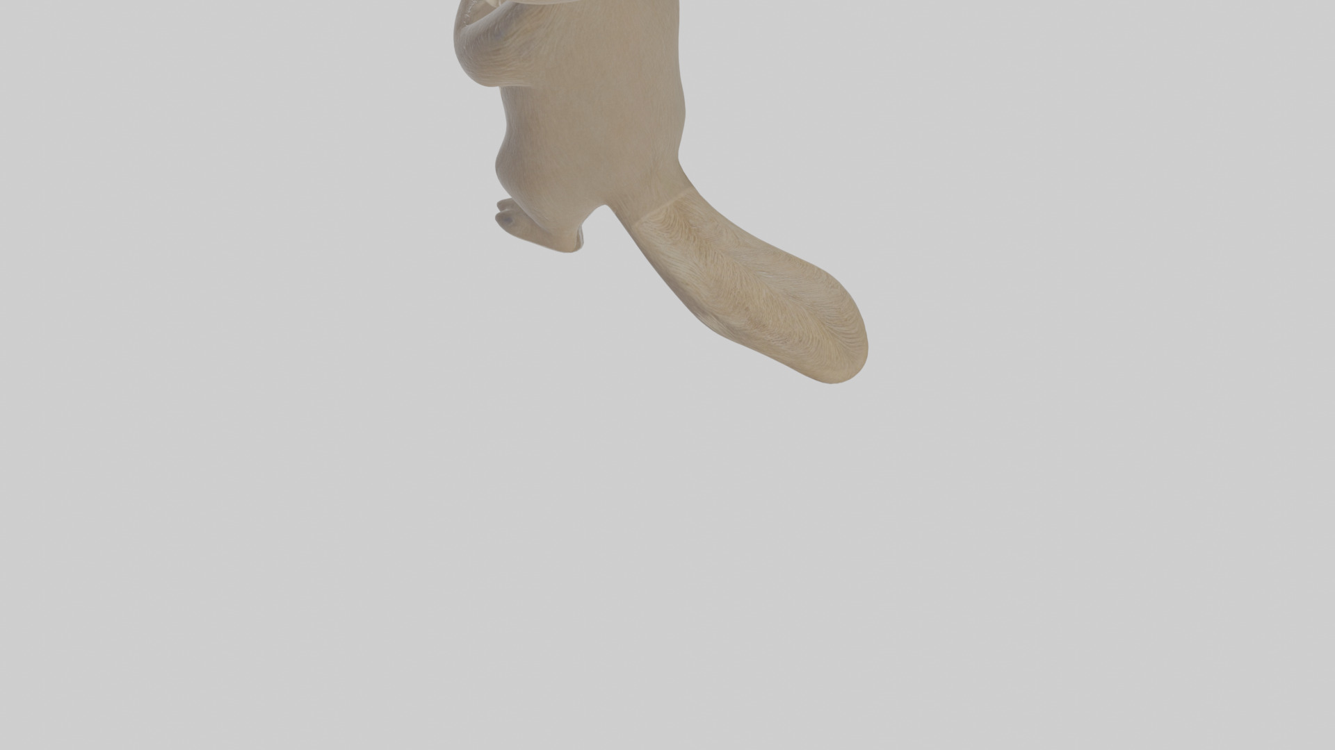 Cartoon Badger Low-poly 3D model_5