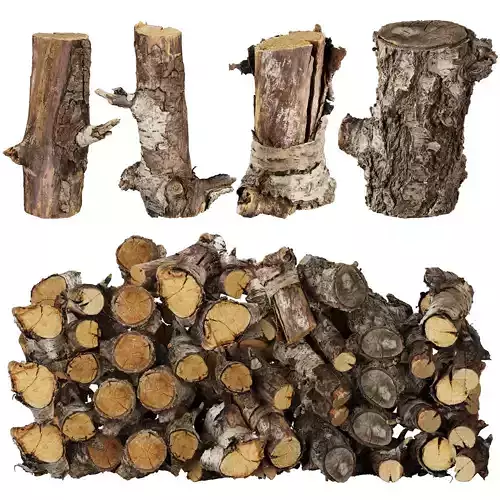3D Scanned Wood Logs 04 - Firewood - high poly - low poly