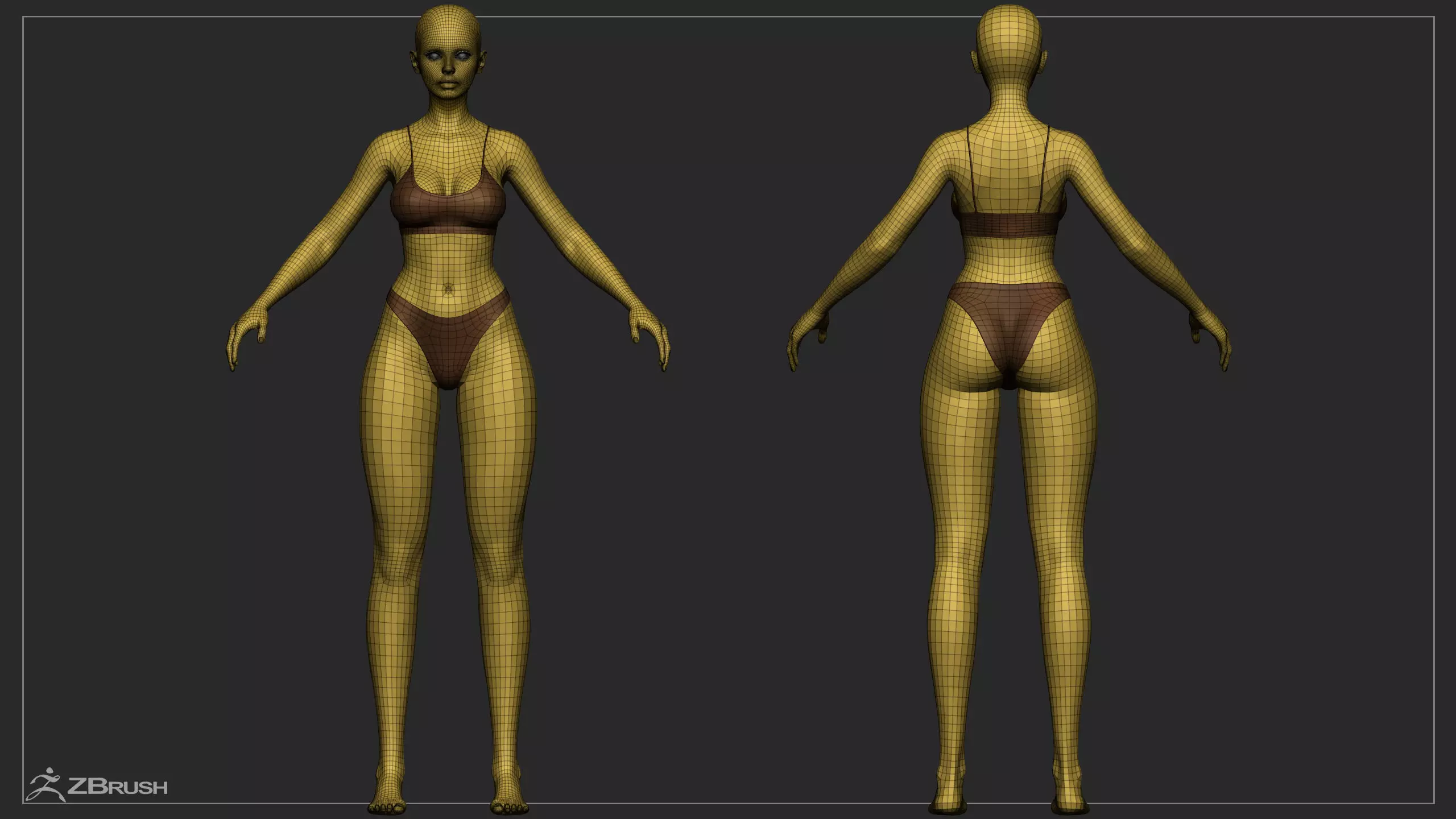 Advanced High Poly Female Basemesh - Body 03 3D model_18