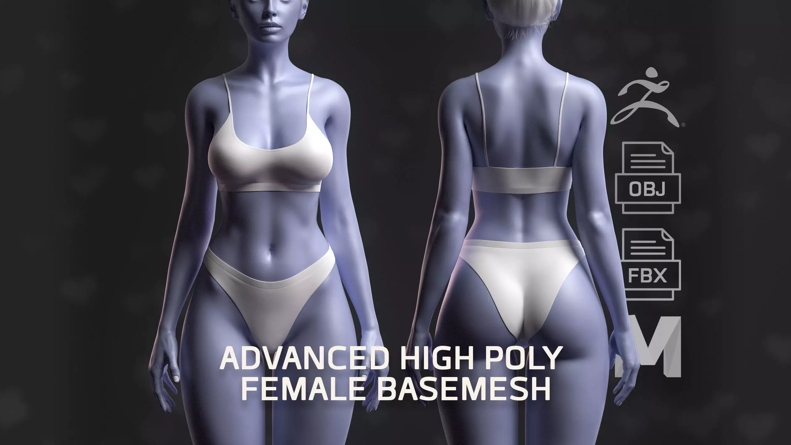 Advanced High Poly Female Basemesh - Body 03 3D model_0
