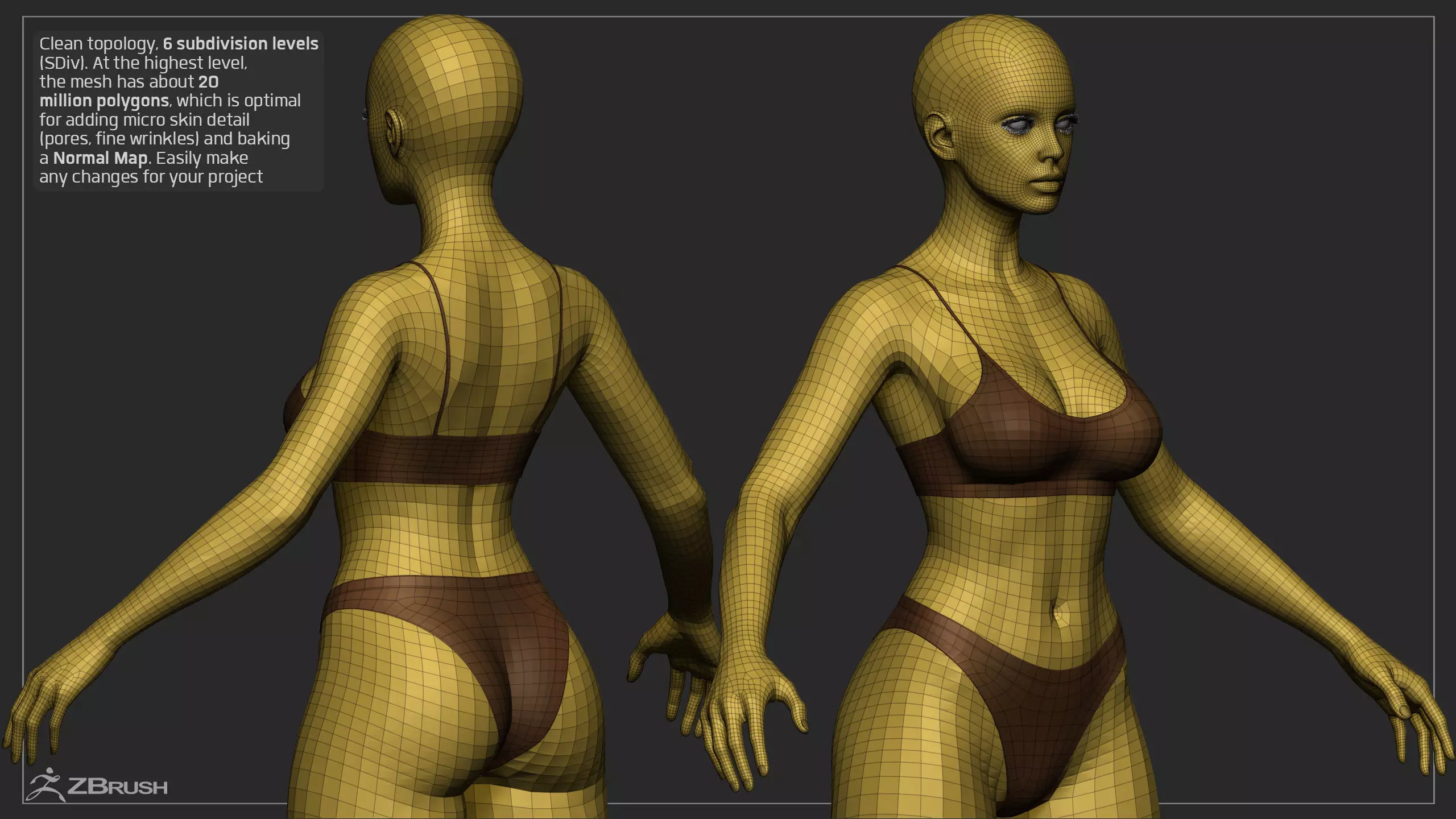 Advanced High Poly Female Basemesh - Body 03 3D model_17