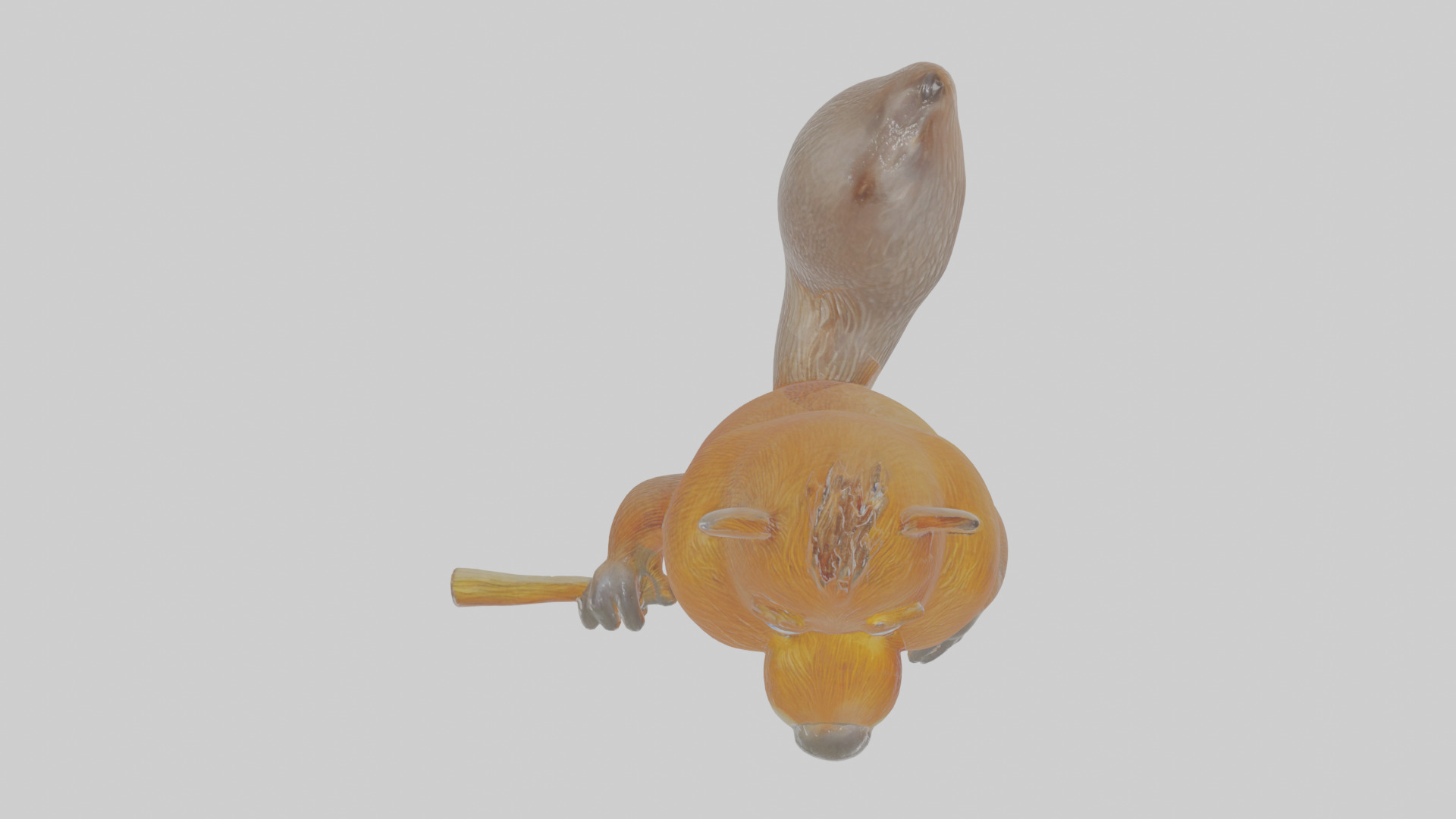 Cartoon Beaver Low-poly 3D model_22