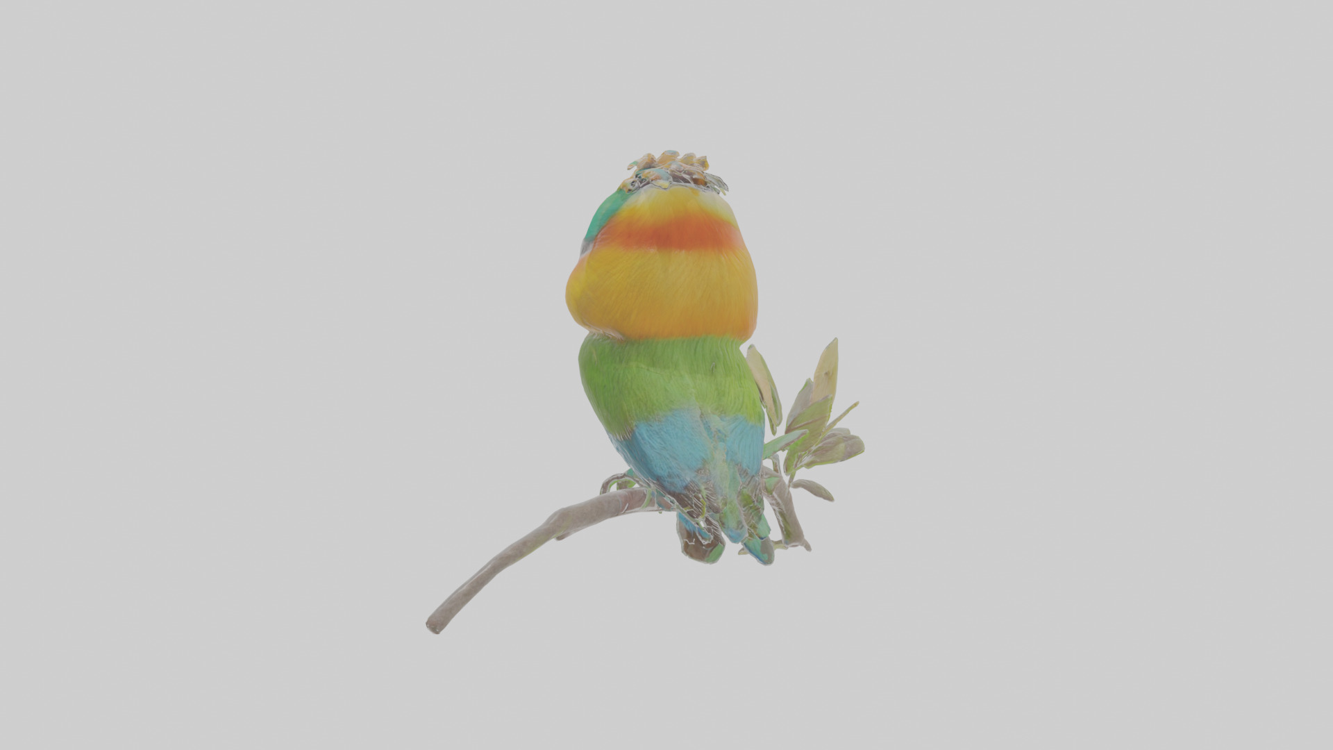 Cartoon Beeeater Low-poly 3D model_1