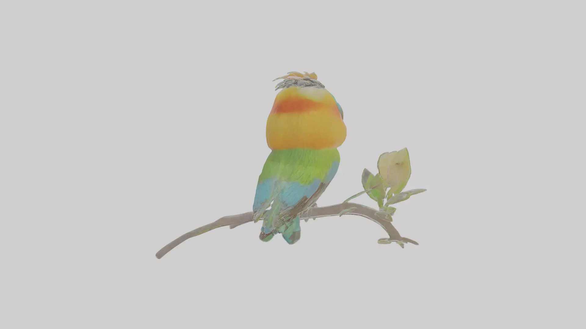 Cartoon Beeeater Low-poly 3D model_0