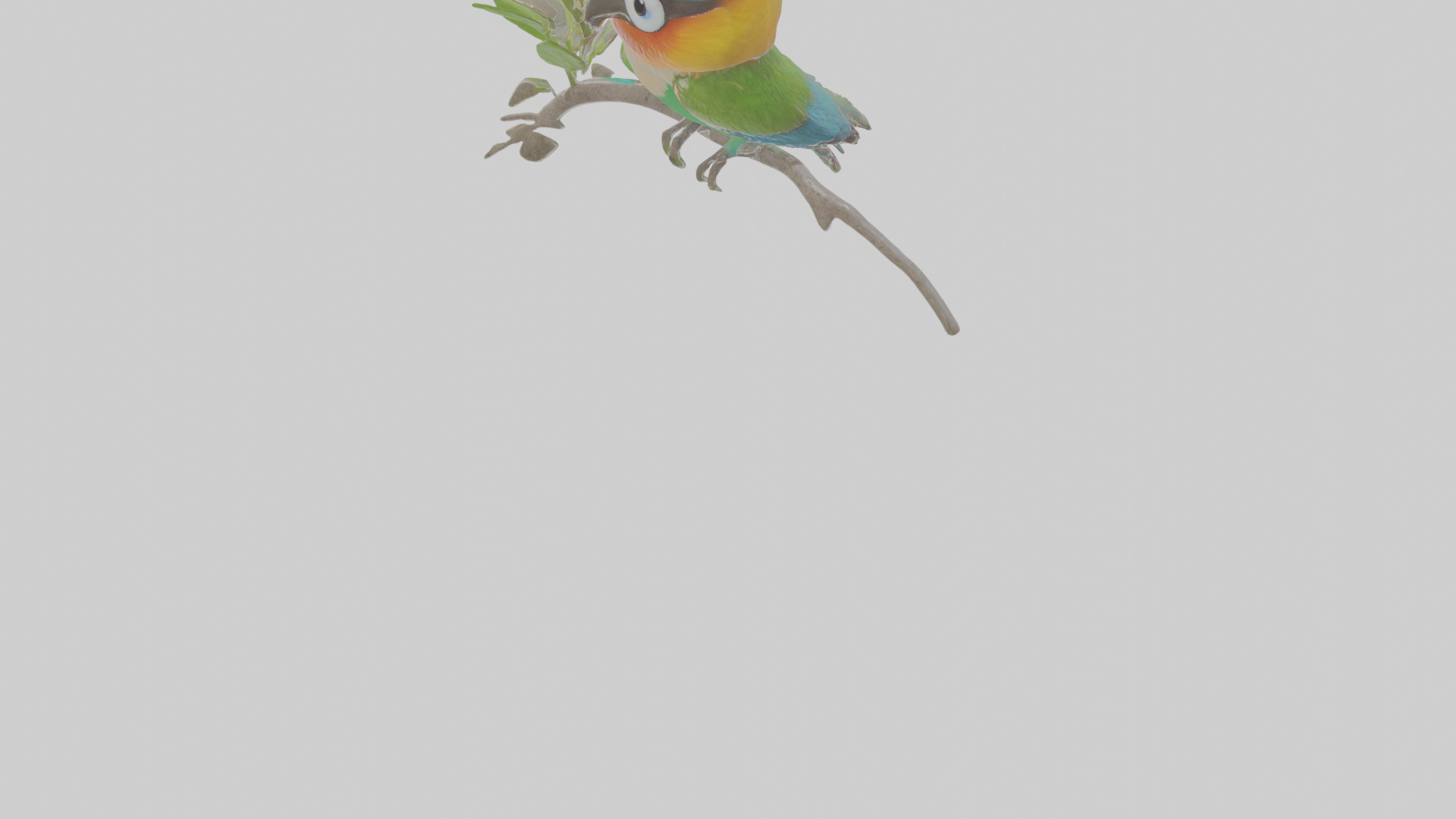 Cartoon Beeeater Low-poly 3D model_7