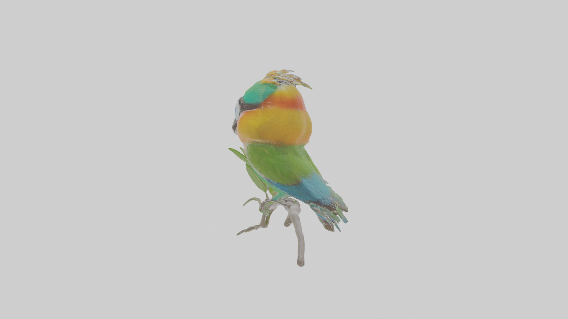 Cartoon Beeeater Low-poly 3D model_18